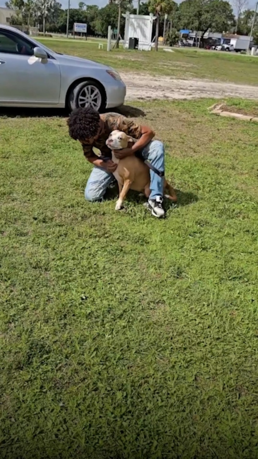 Video Owners reunite with dog 2 years after she went missing - ABC News