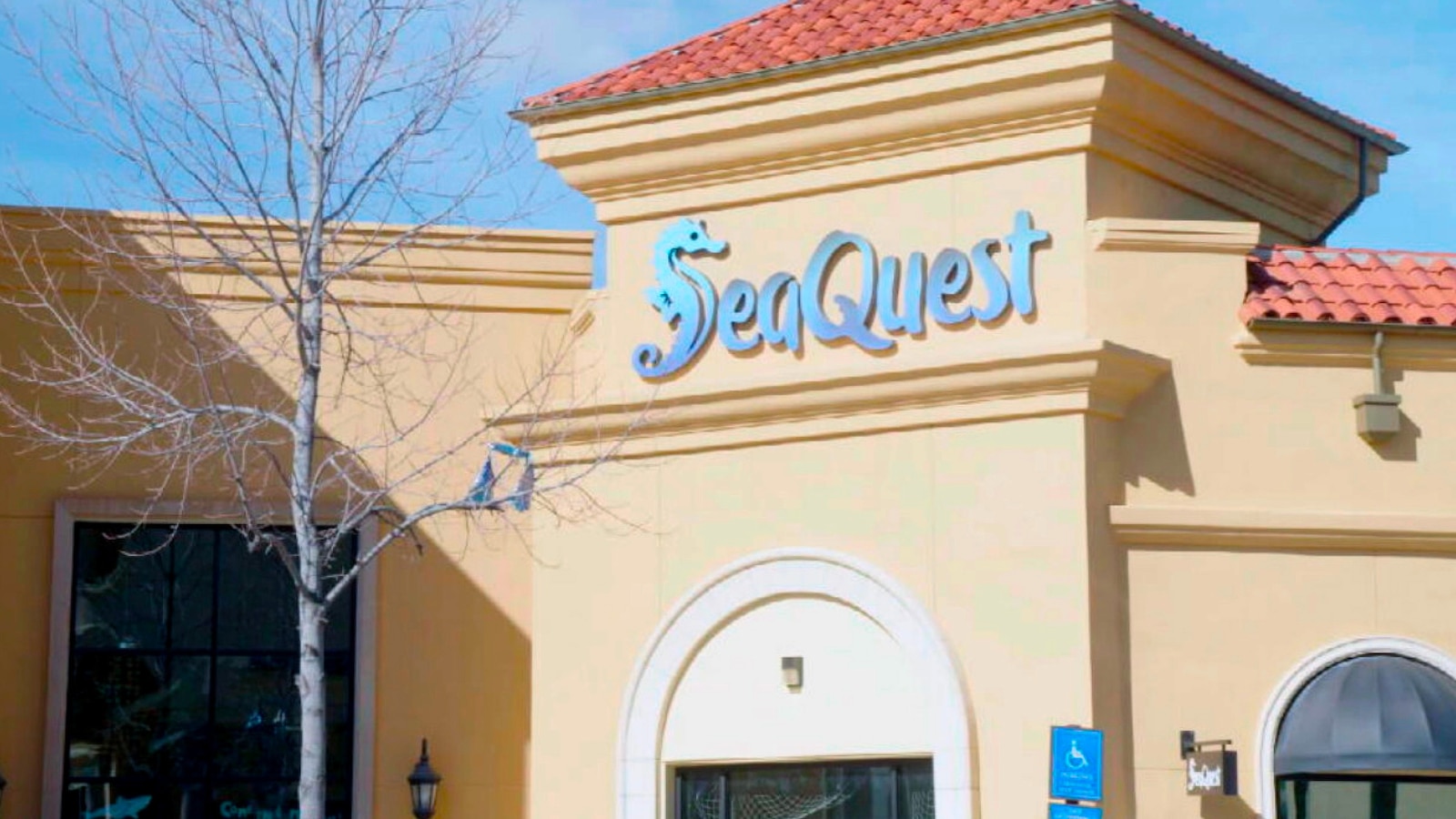 ‘Can’t be quiet anymore’: SeaQuest aquariums are overflowing with ...