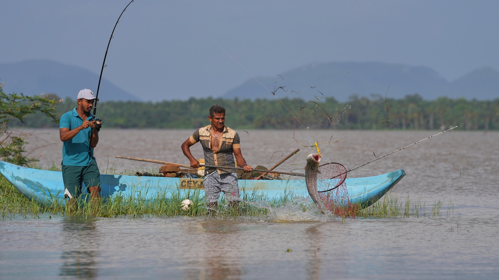 يحرص صيادو المياه العذبة في سريلانكا على تحويل تهديد الأنواع الغازية إلى فرصة يحرص صيادو المياه العذبة في سريلانكا على تحويل تهديد الأنواع الغازية إلى فرصة