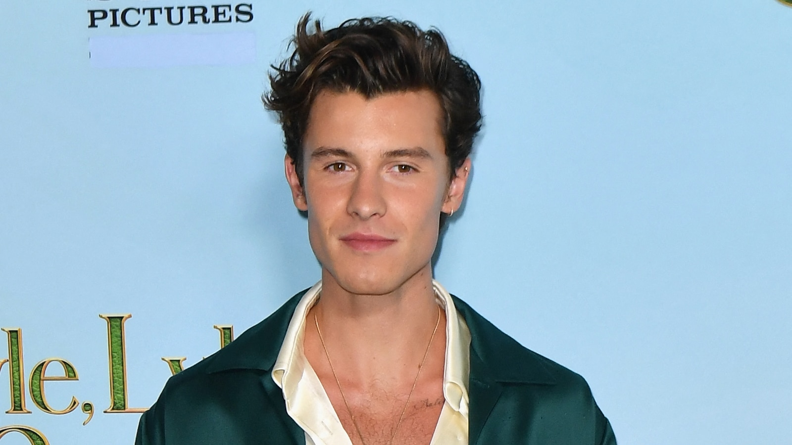 Shawn Mendes reflects on canceling tour, his 'healing process' and more(01)