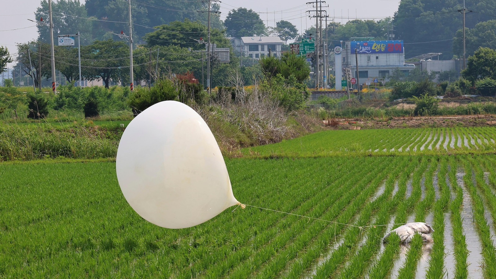 North Korea has again launched suspected trash-carrying balloons, South Korea says North Korea has again launched suspected trash-carrying balloons, South Korea says