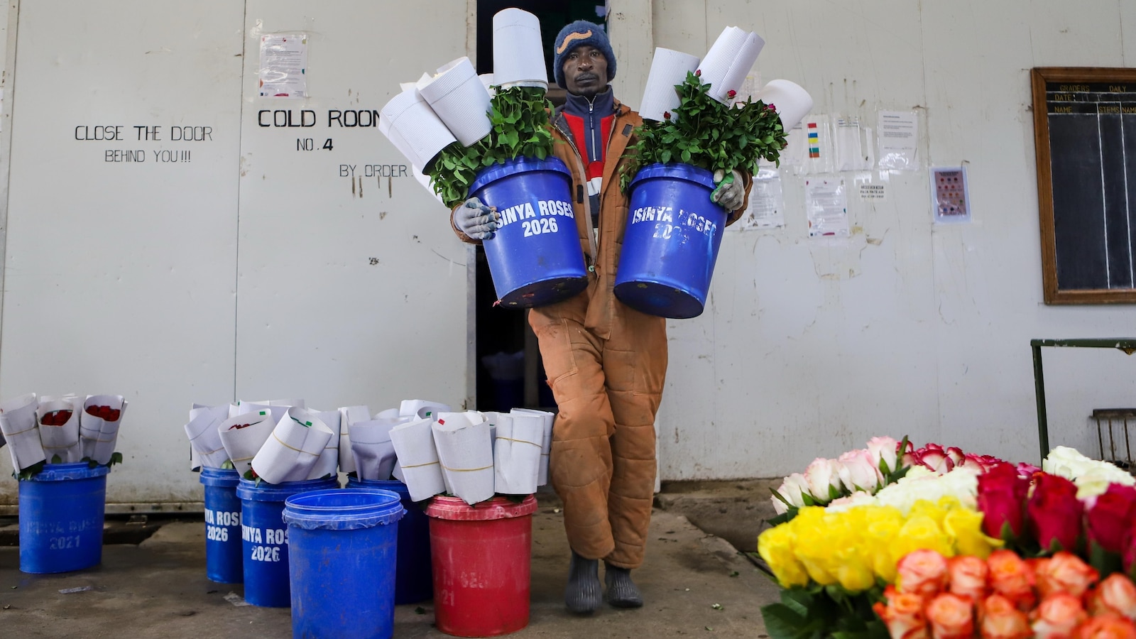 De Keniaanse bloemenindustrie verliest wekelijks miljoenen dollars als gevolg van de oorlog met Iran