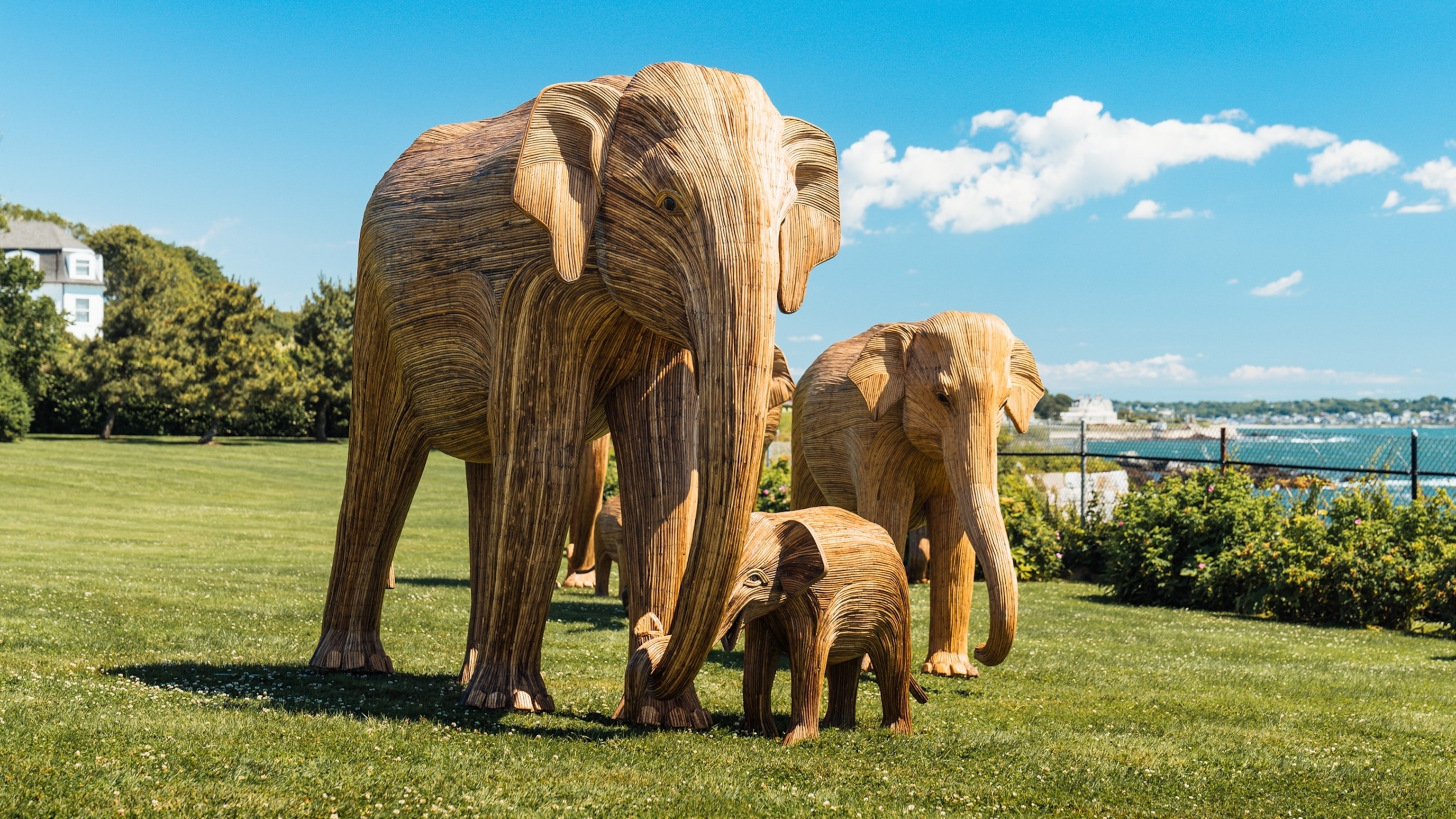Traveling installation of 100 life-sized elephants will offer