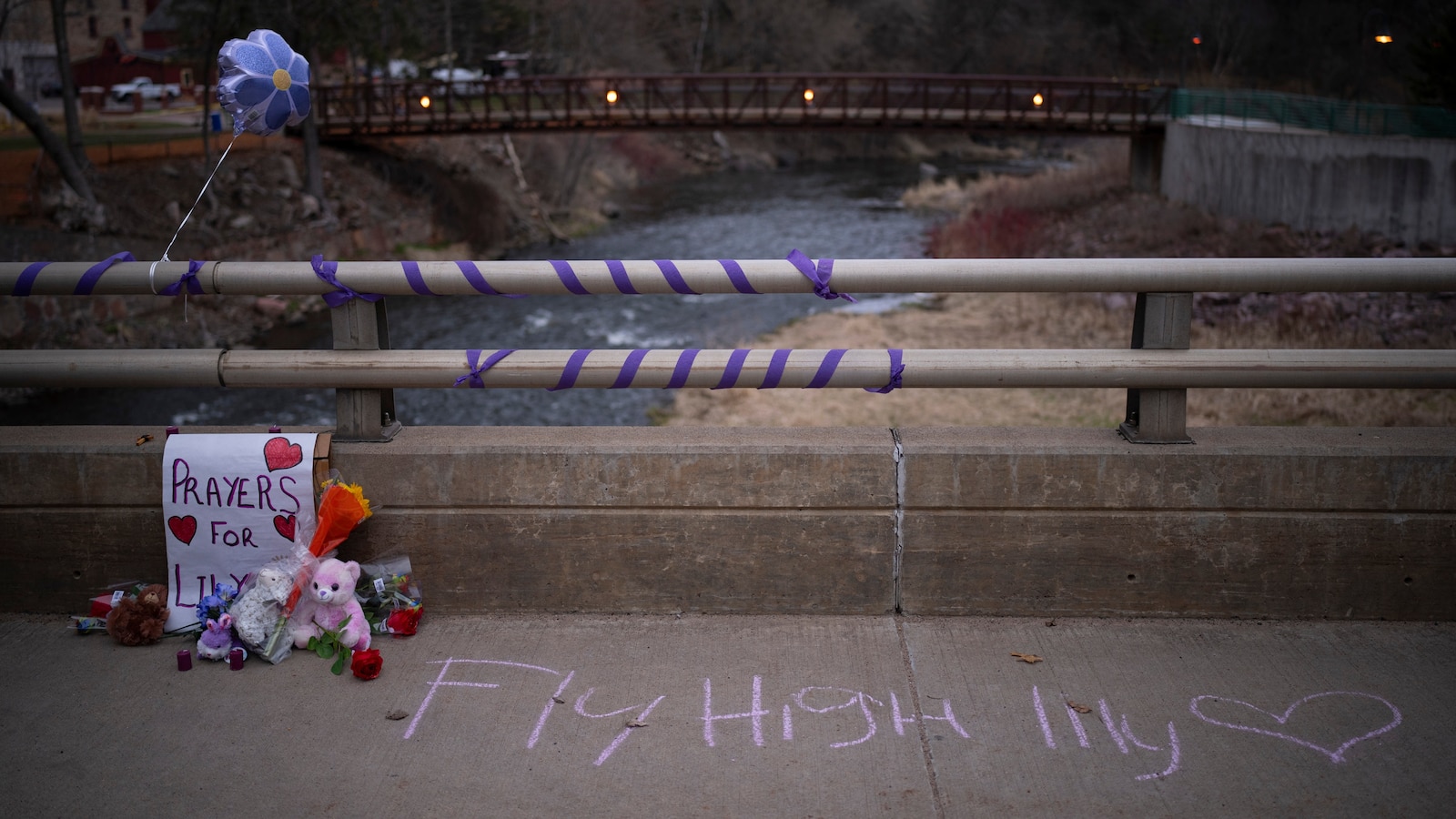 Cousin of 10-year-old Wisconsin girl pleads guilty to her killing and gets life in prison
