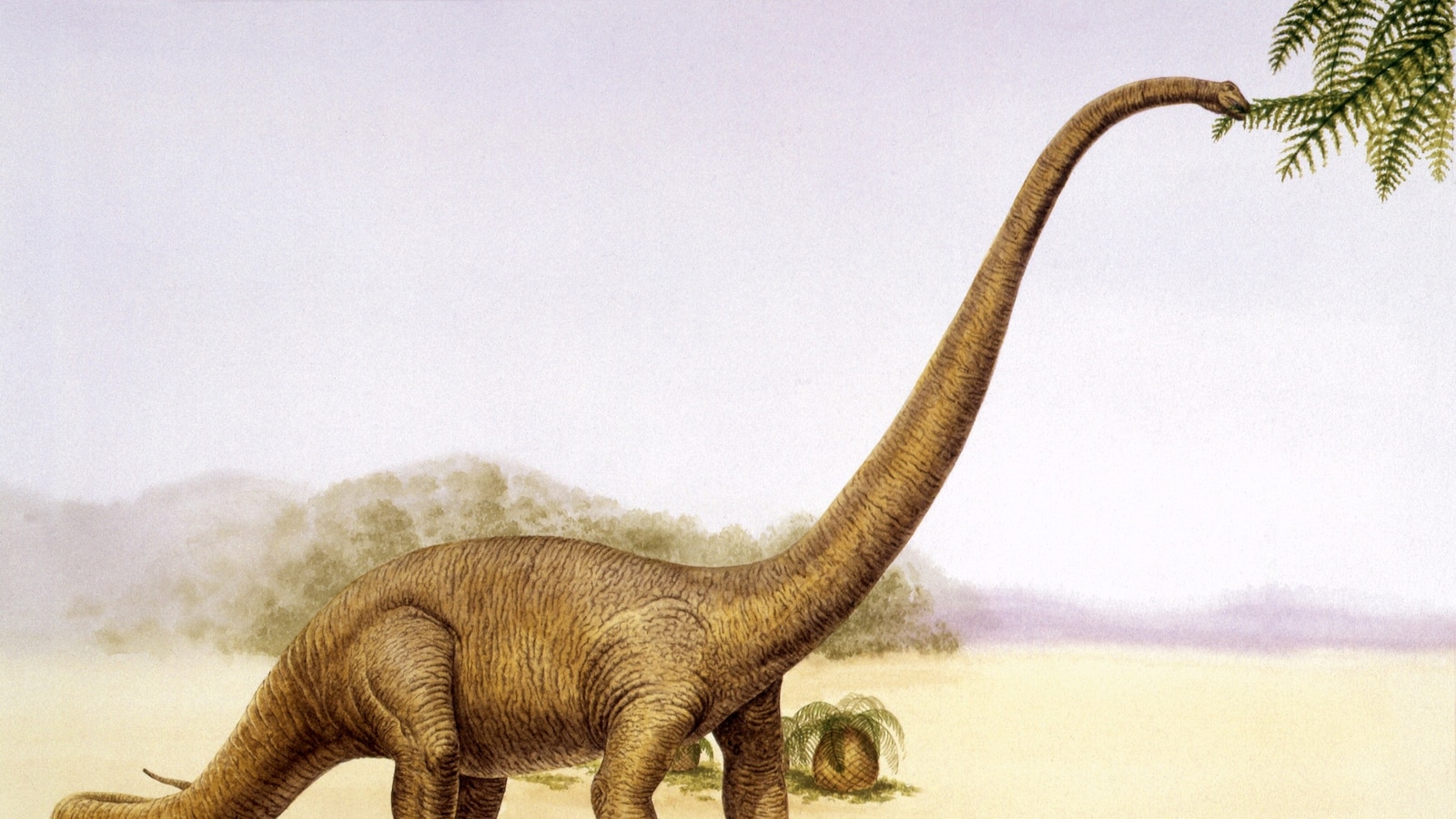 AI Generated Dinosaur Discovery: Meet the 39-Foot Huashanosaurus!