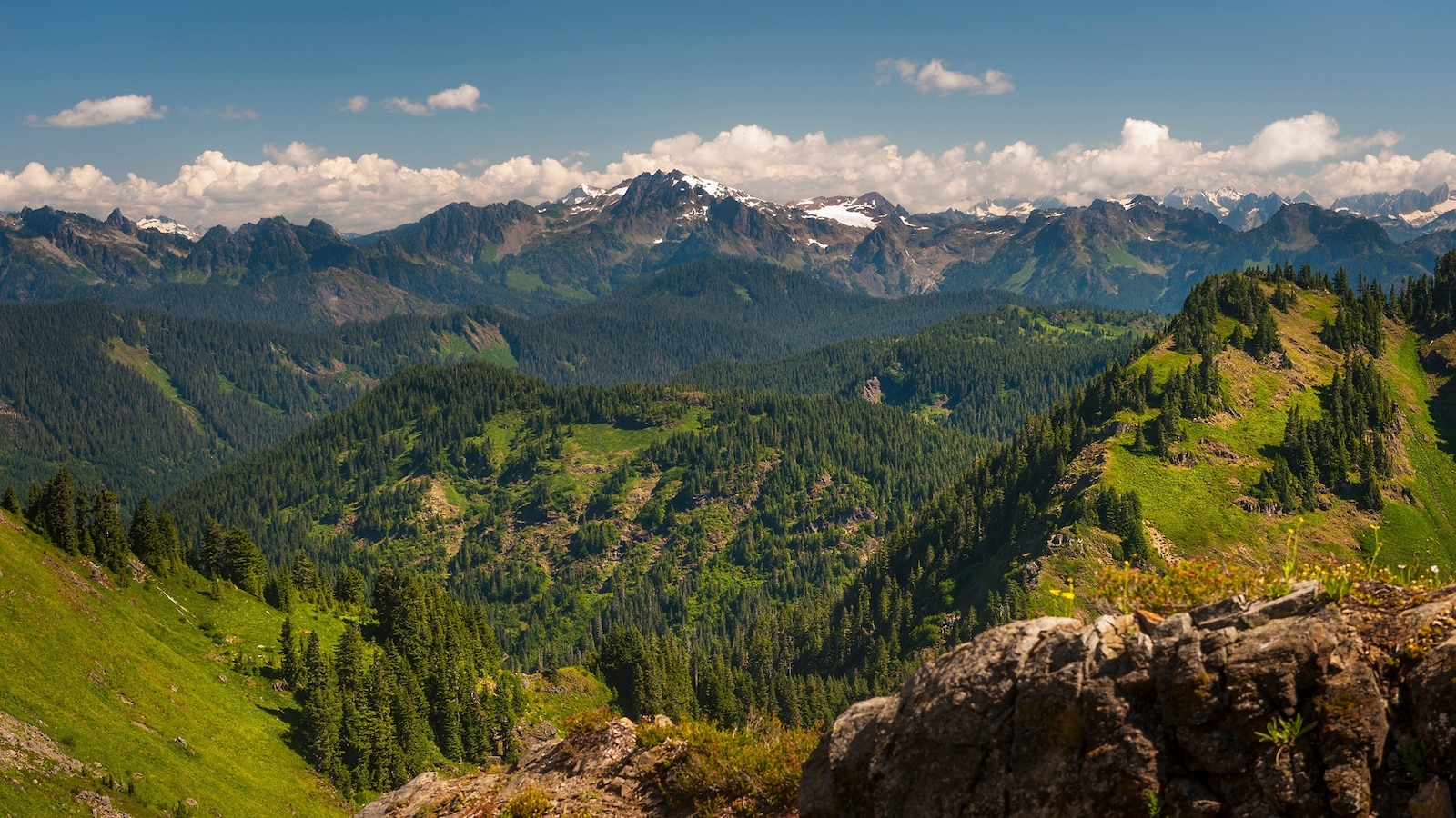 A hiker fell to his death during a trek through the Sauk Mountain trails last week, days after another hiker was found dead after going missing, investigators in Washington state said.