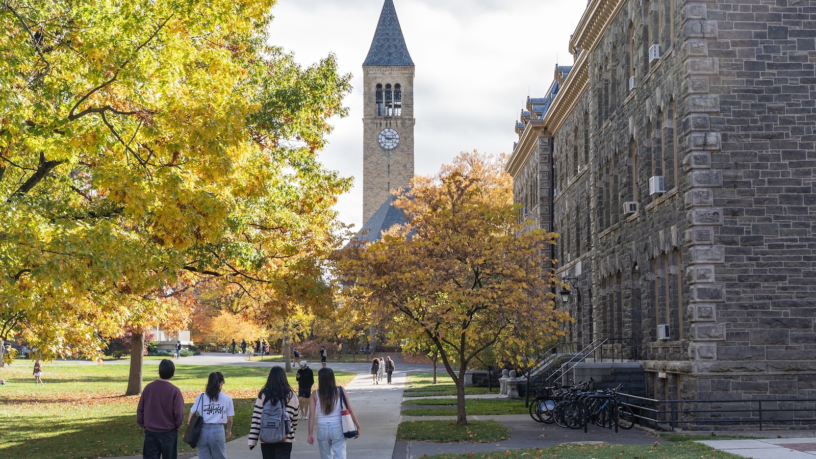 A state-mandated survey of undergraduate students at Cornell revealed that more than one-third of undergraduate women said they had experienced sexual assault during their time at the Ivy League university.