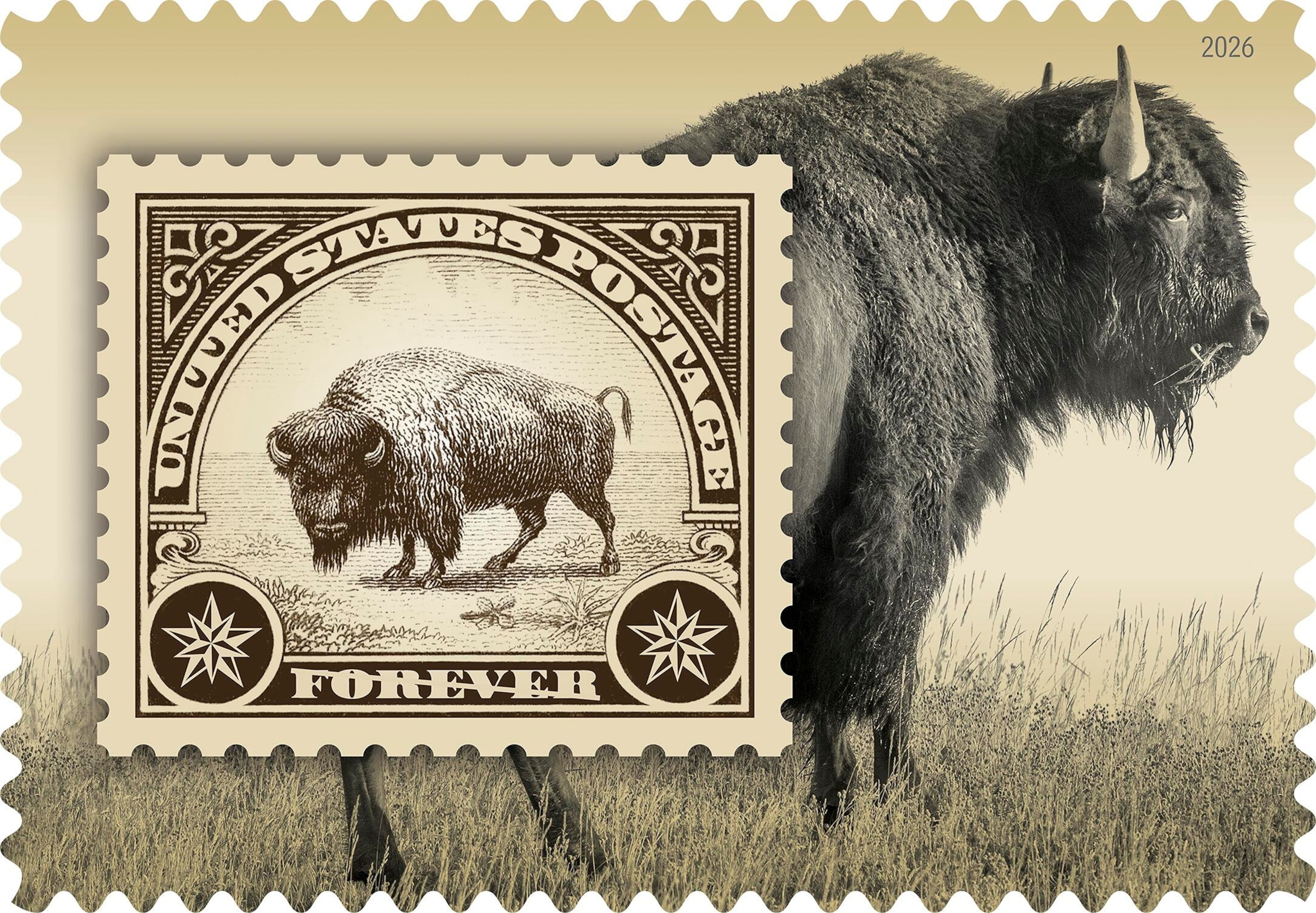 PHOTO: Bison stamp