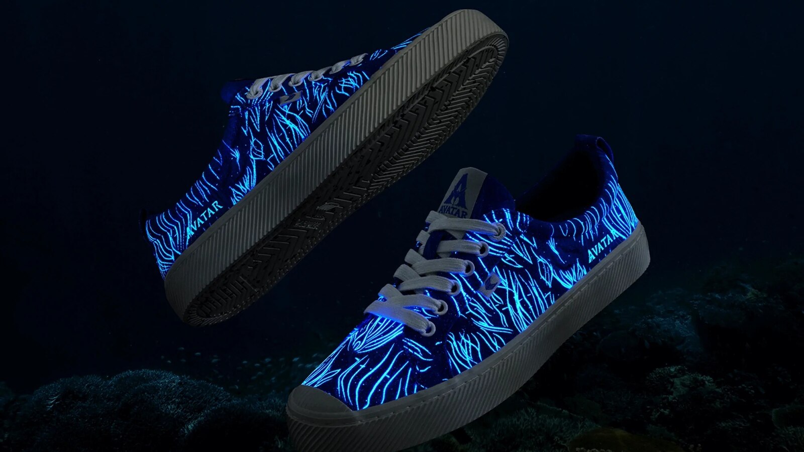 Cariuma Avatar Underwater Canvas sneakers