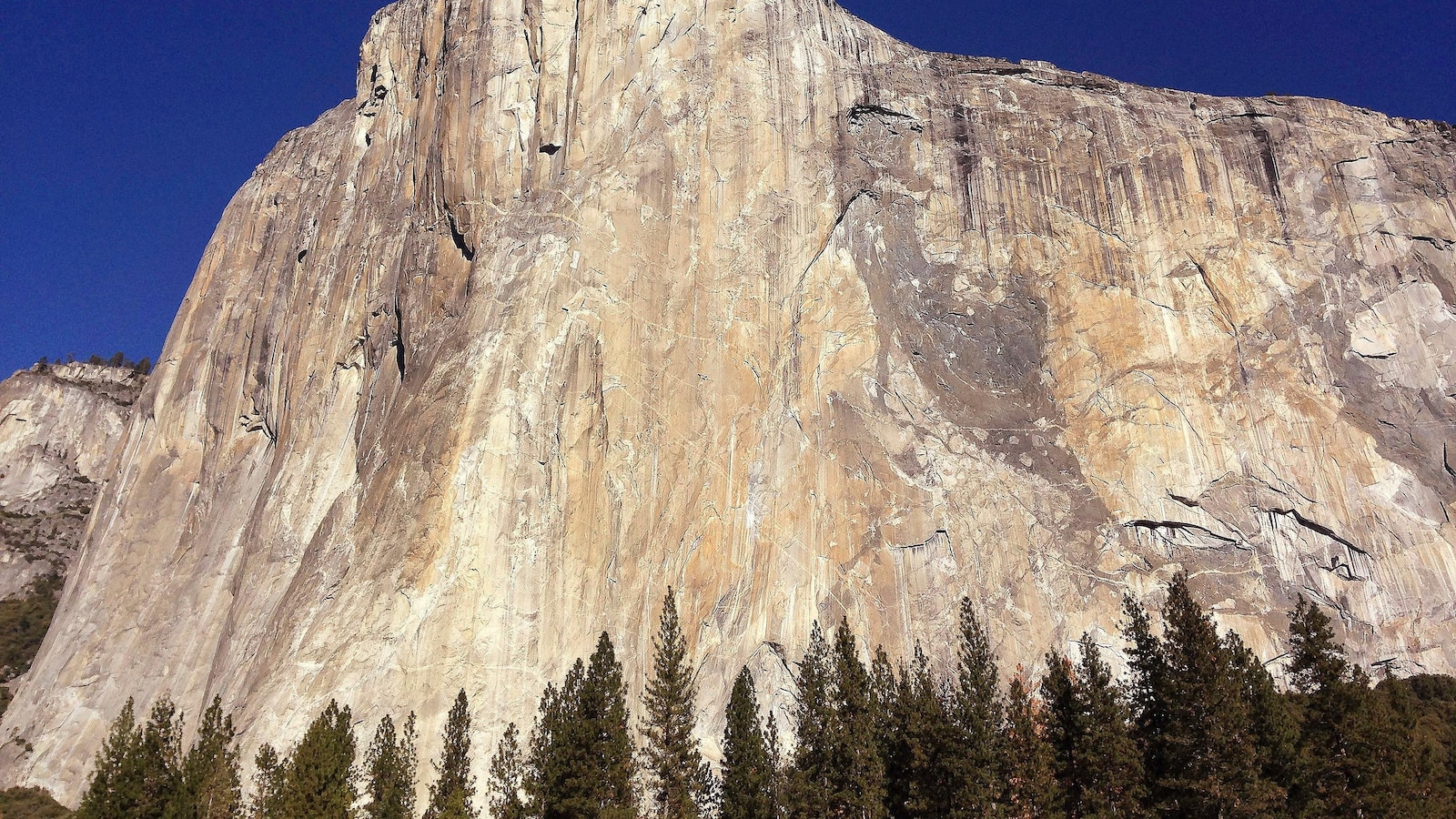 Alaskan climbing star dies in fall from Yosemite's El Capitan