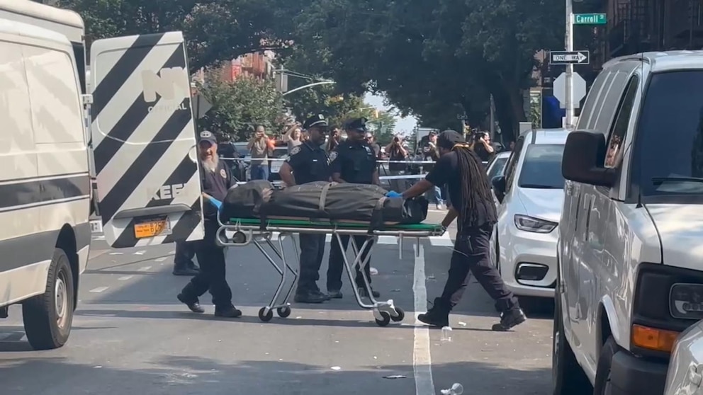 Video 3 killed in restaurant mass shooting - ABC News