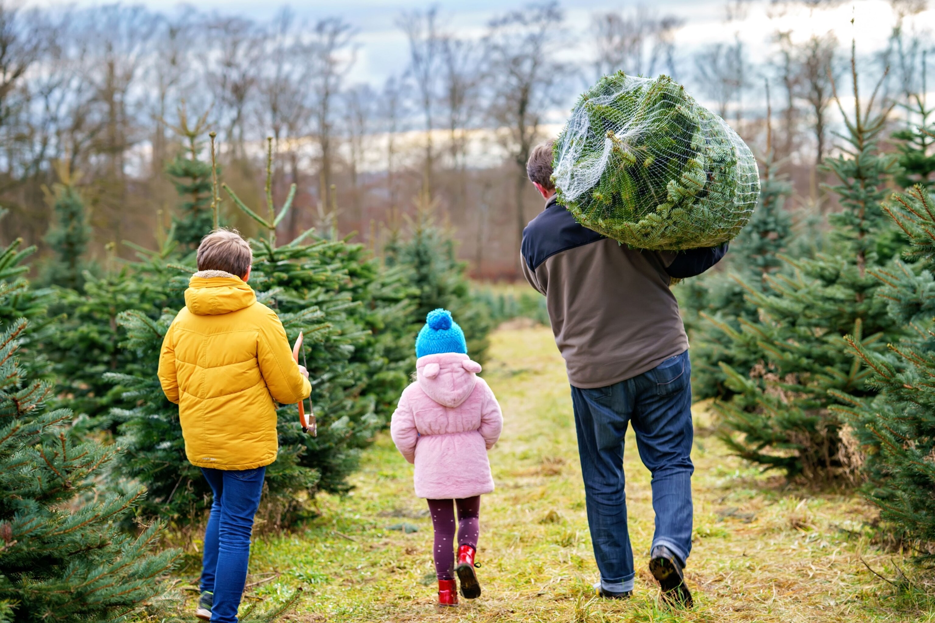 PHOTO: family at a Christmas tree farm