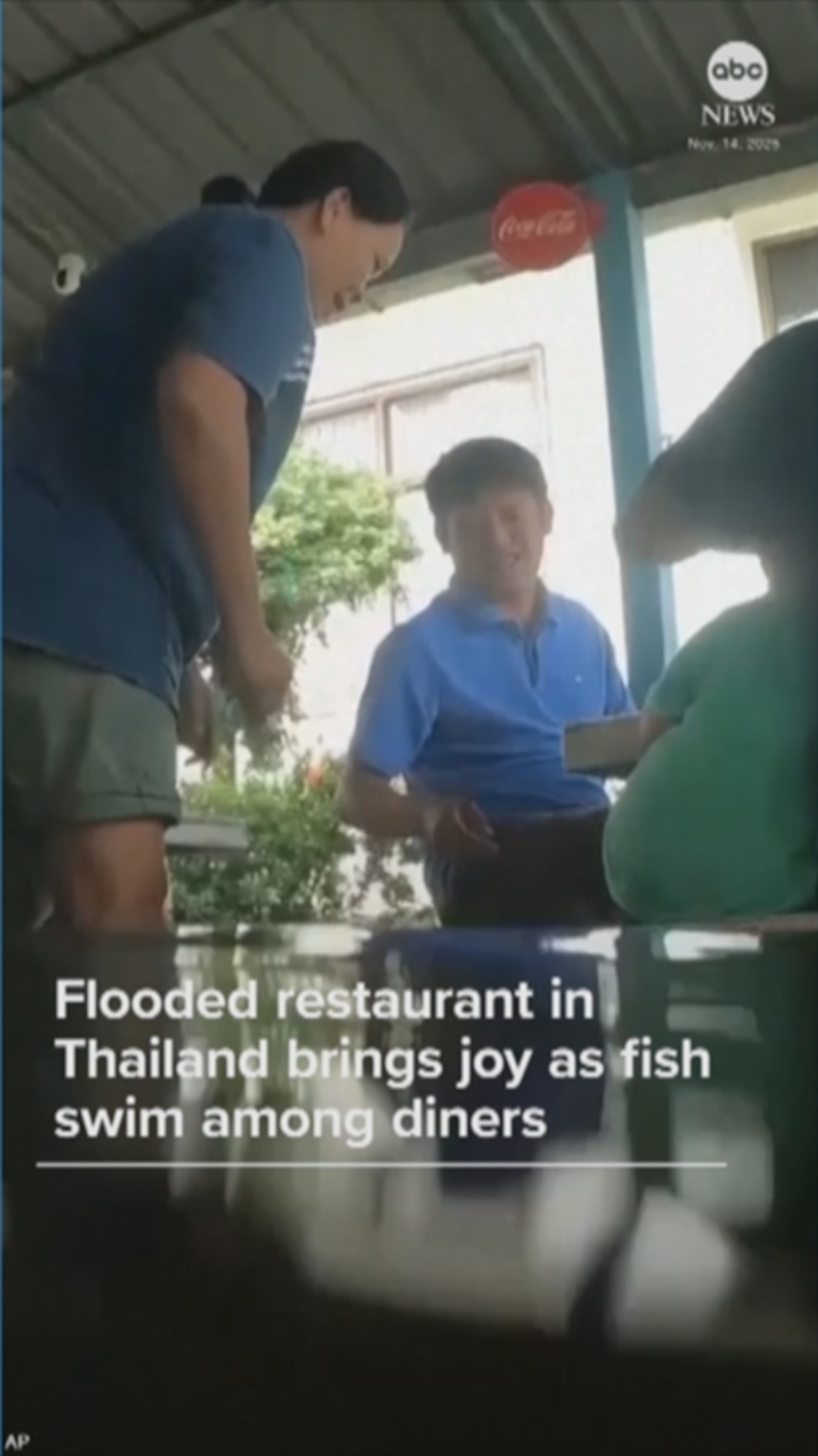 WATCH: Fish swim among diners in flooded Thai restaurant