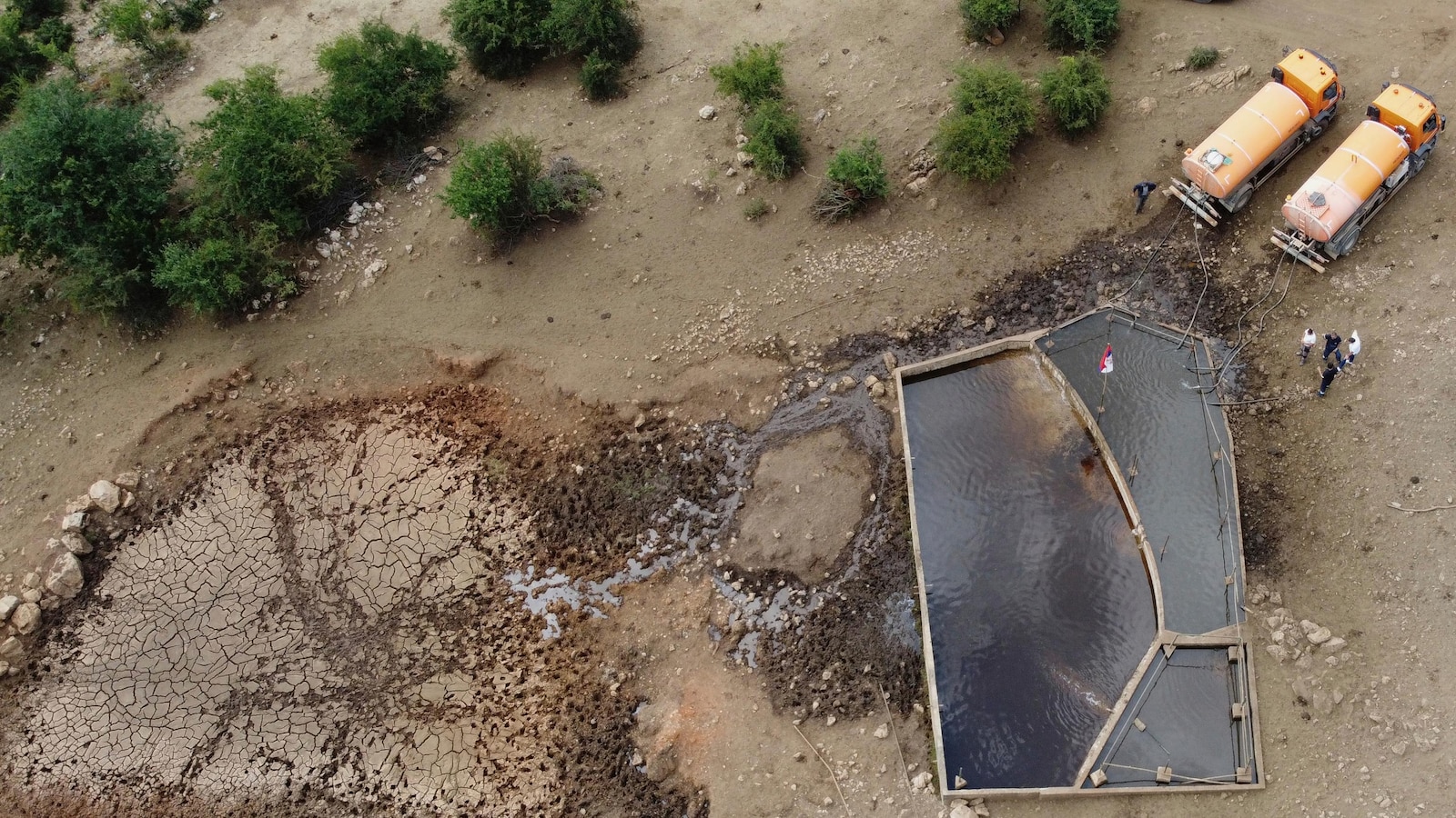Резервоарите за вода заместват изворите на сръбска планина, когато засушаващите застрашаващи около 1000 крави и коне 