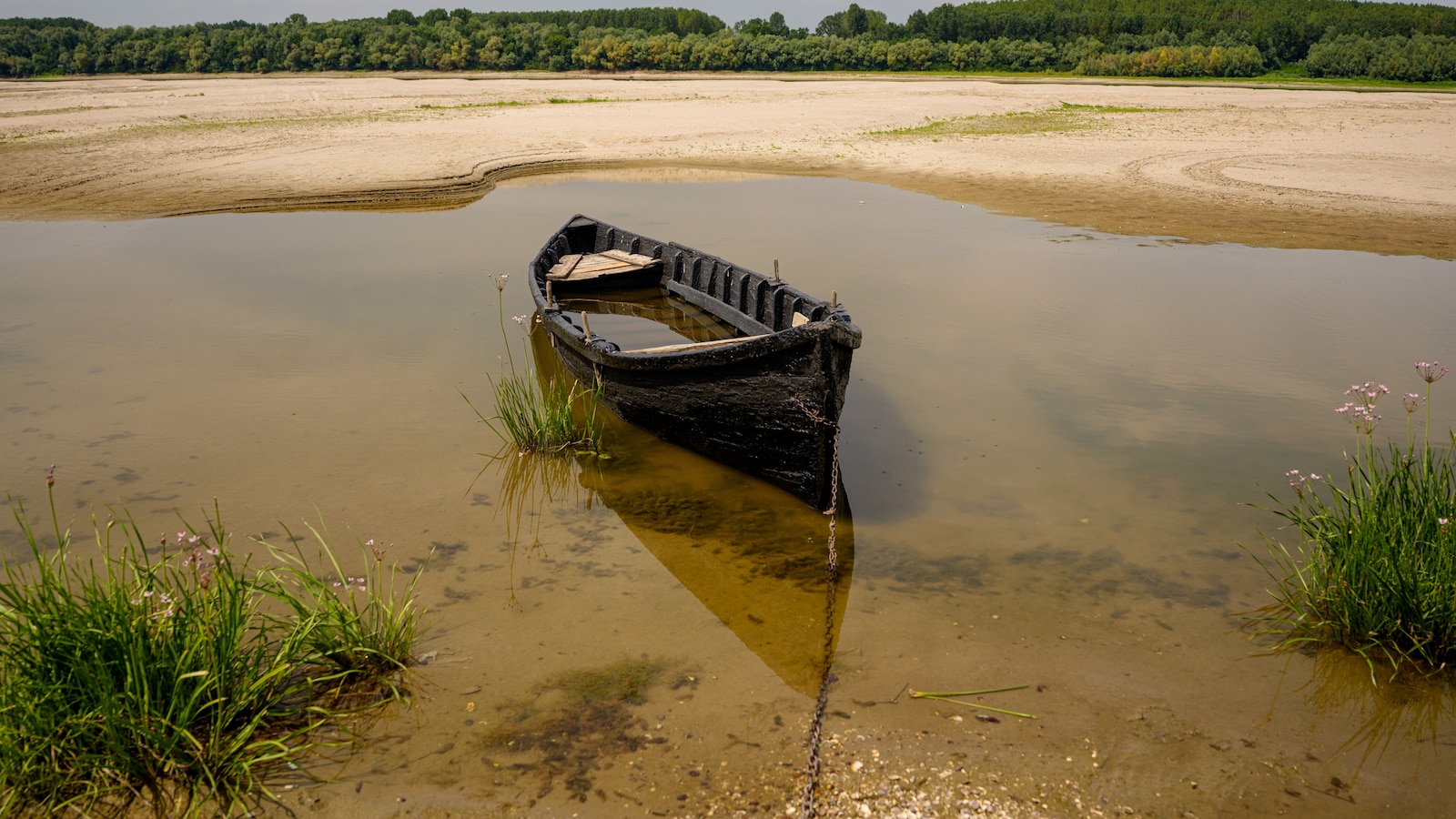 Record low Danube levels push some countries in Europe to brink of energy emergency