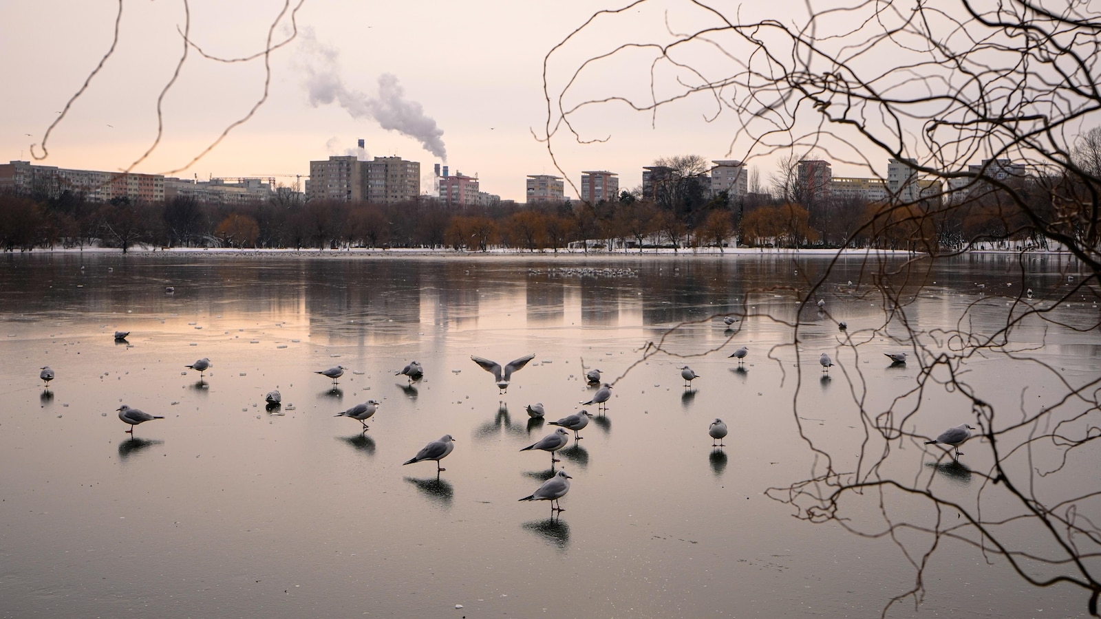 Леден дъжд и ледени условия причиниха широко разпространени смущения в