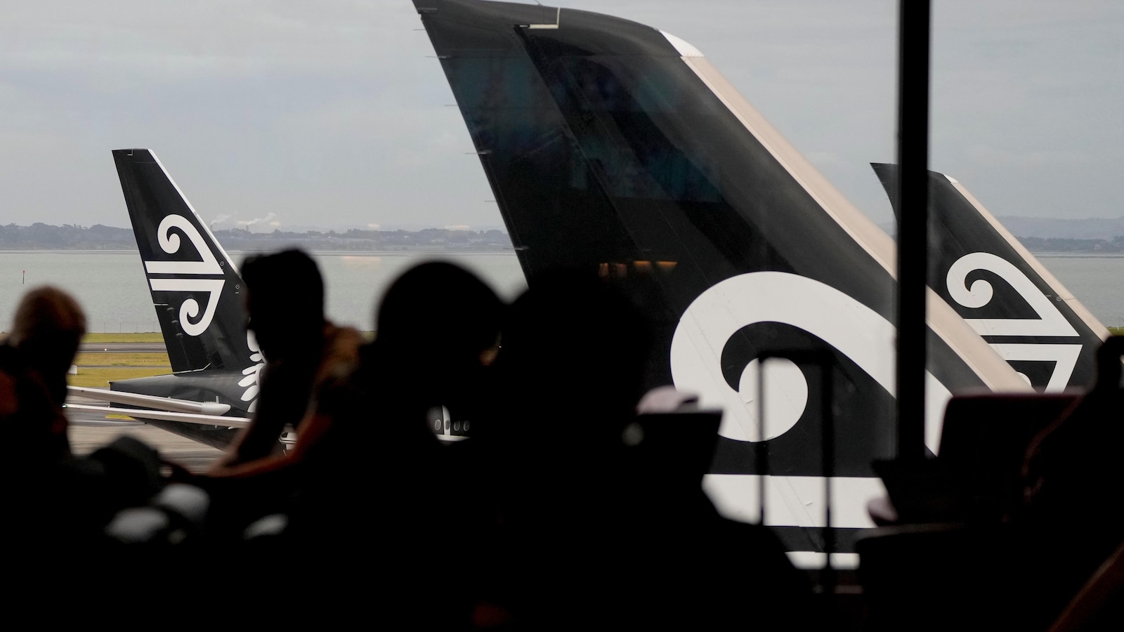 Airline adding bunk beds for economy travelers but bans snacks, smells and cuddling