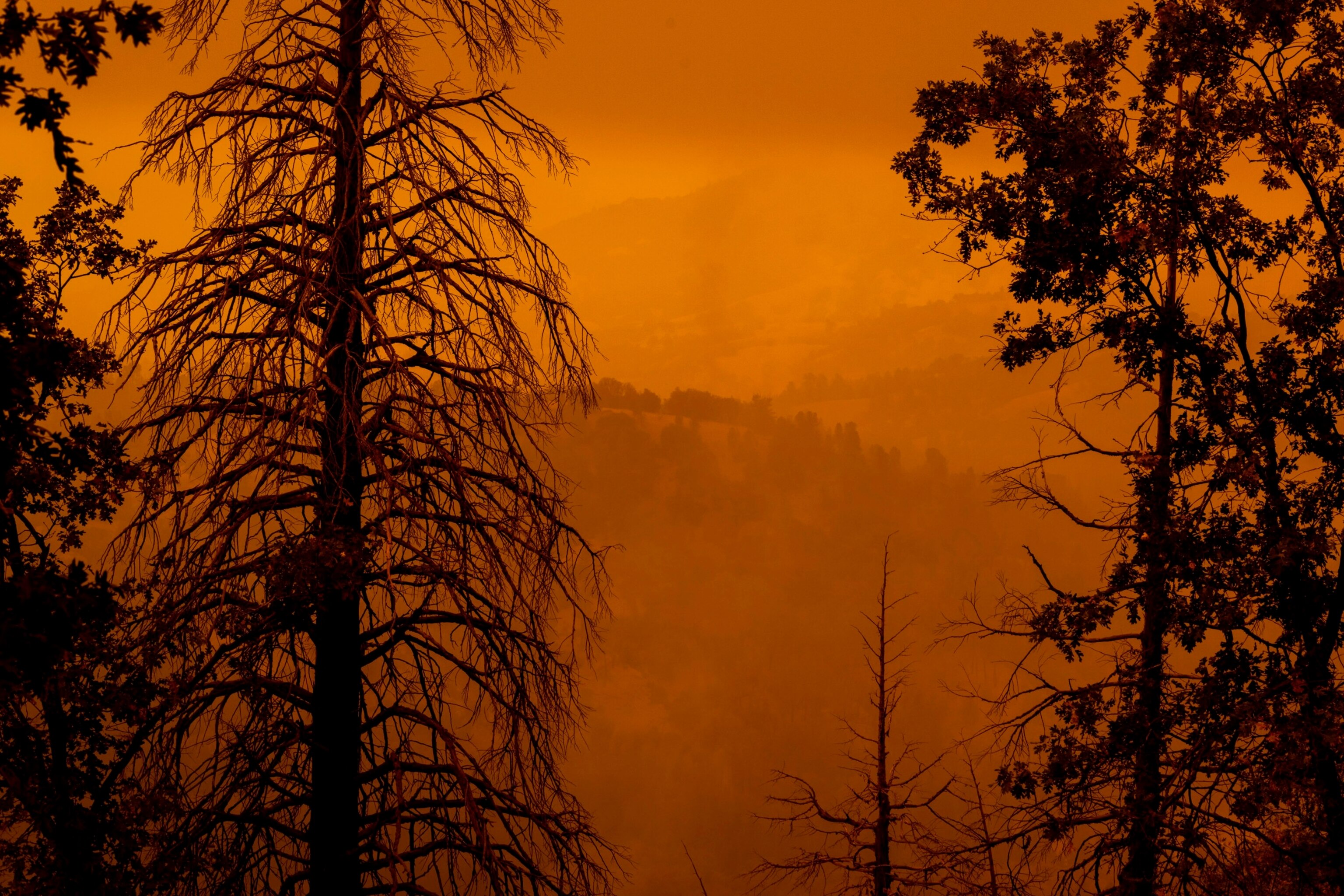 PHOTO: Smoke covers a landscape where hundreds of thousands of trees have been stressed or killed by years of drought and beetles as the Windy Fire continues to grow on Sept. 26, 2021 south of California Hot Springs.