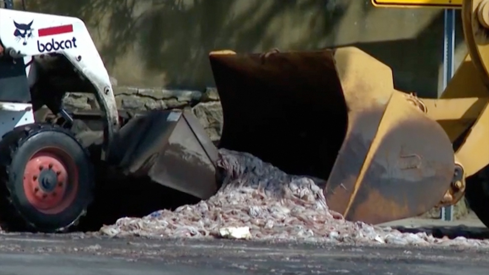 A tractor-trailer overturned on its side releasing over 20 tons of squid onto a roadway in Narragansett, Rhode Island, on Sunday, according to state police. <ht