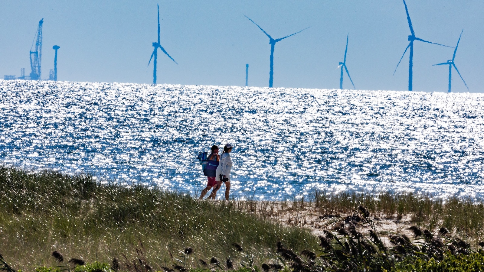 What to know about wind power in the US as Trump administration pauses leases