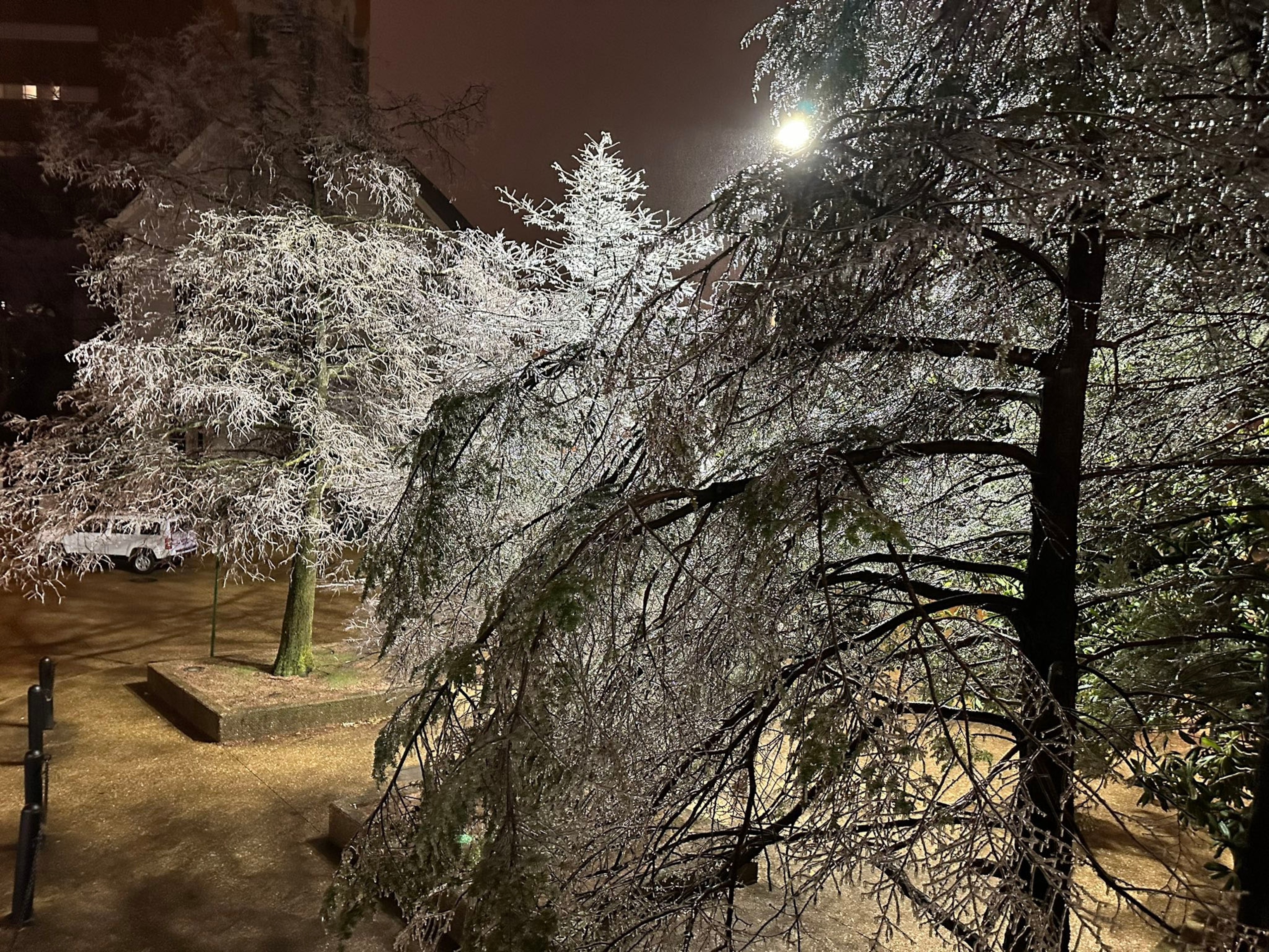 PHOTO: Freezing rain was spotted in Memphis, Jan. 31, 2023.