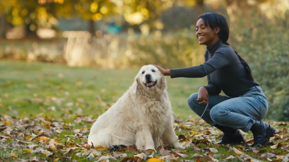Video Do pet-friendly policies belong in the workplace?