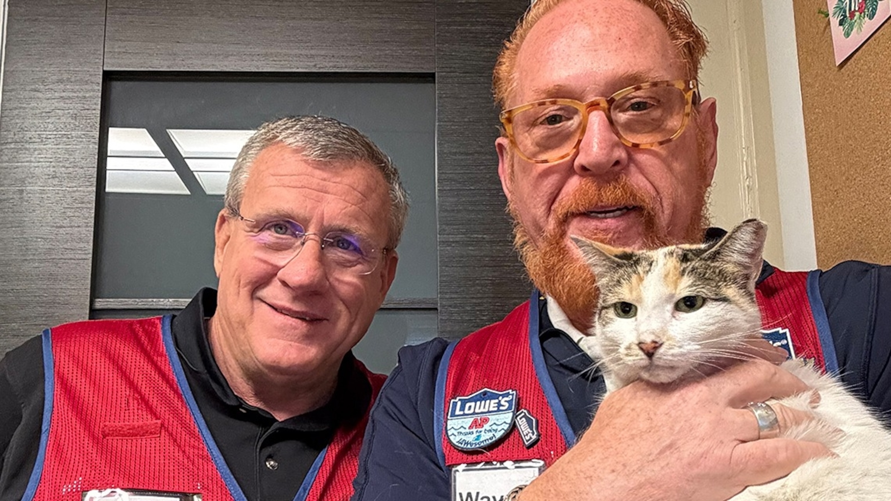 Beloved Lowe's store cat reunited with staff after 2week search ABC News