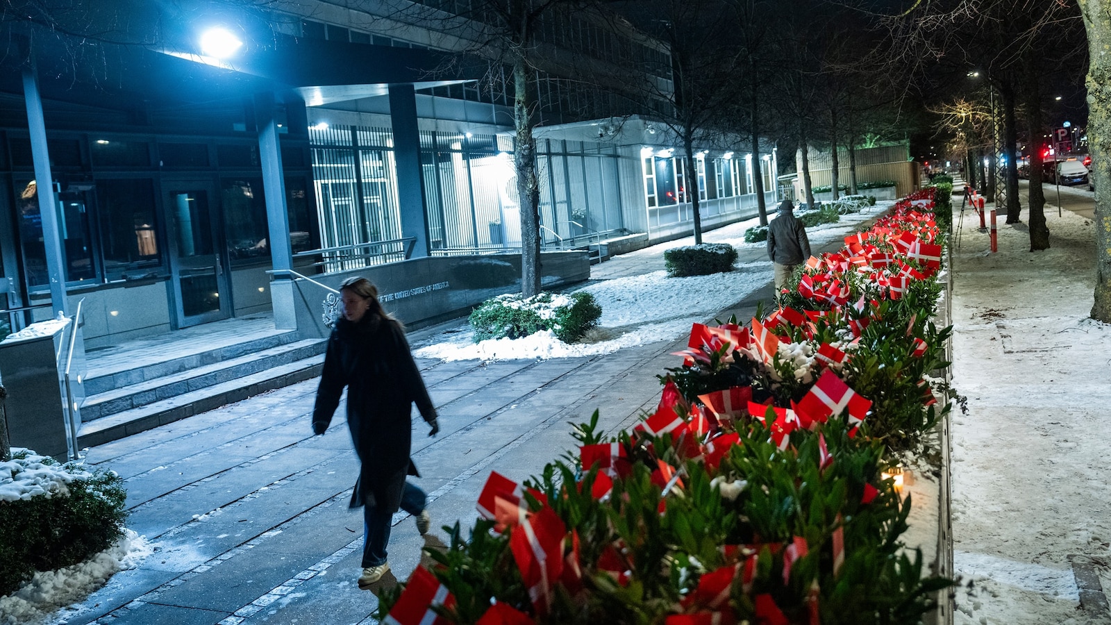 Missing Danish flags spark further outrage after Trump's NATO comments