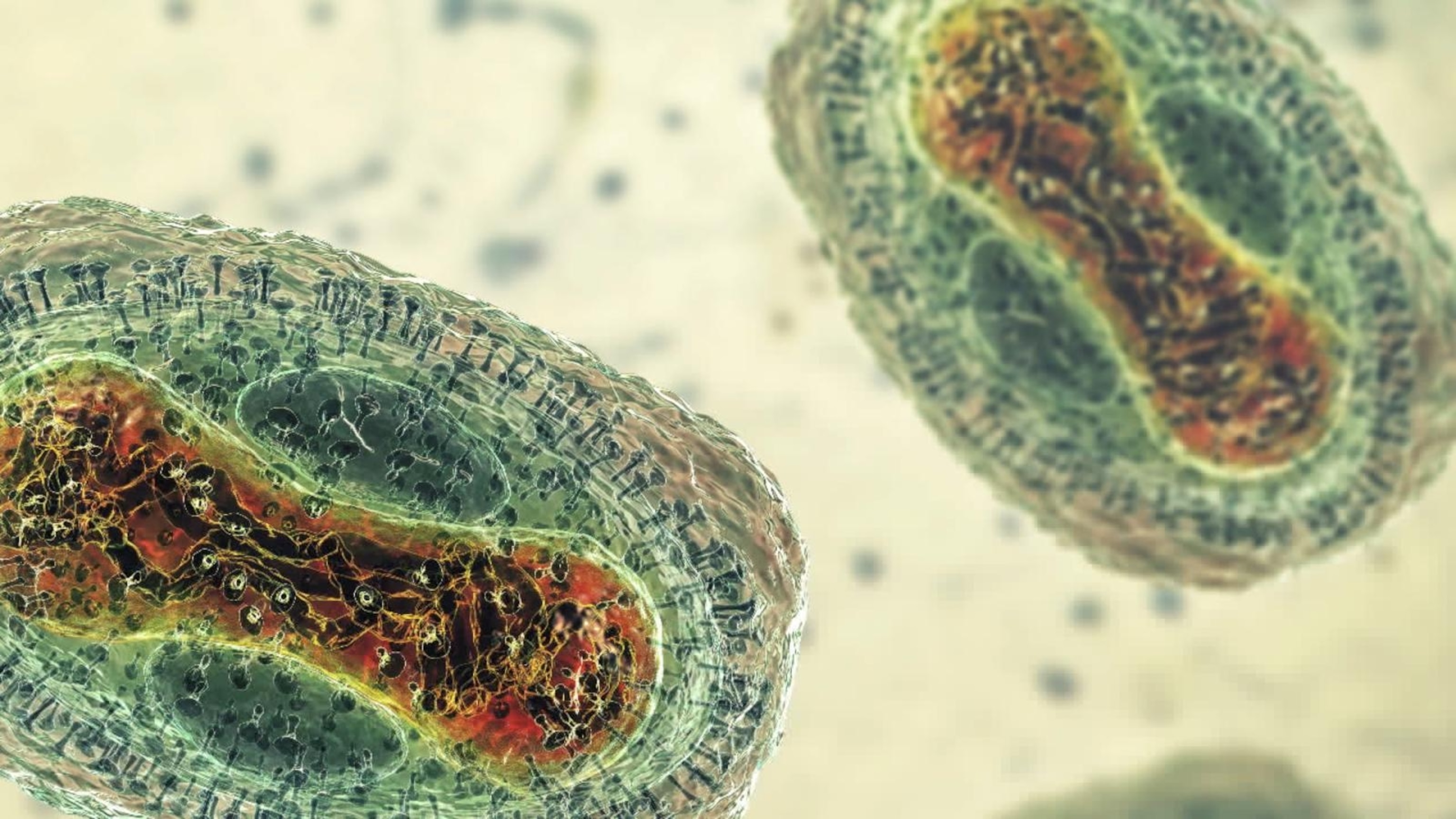 VIDEO: CDC says death in Los Angeles is 1st known monkeypox-related death