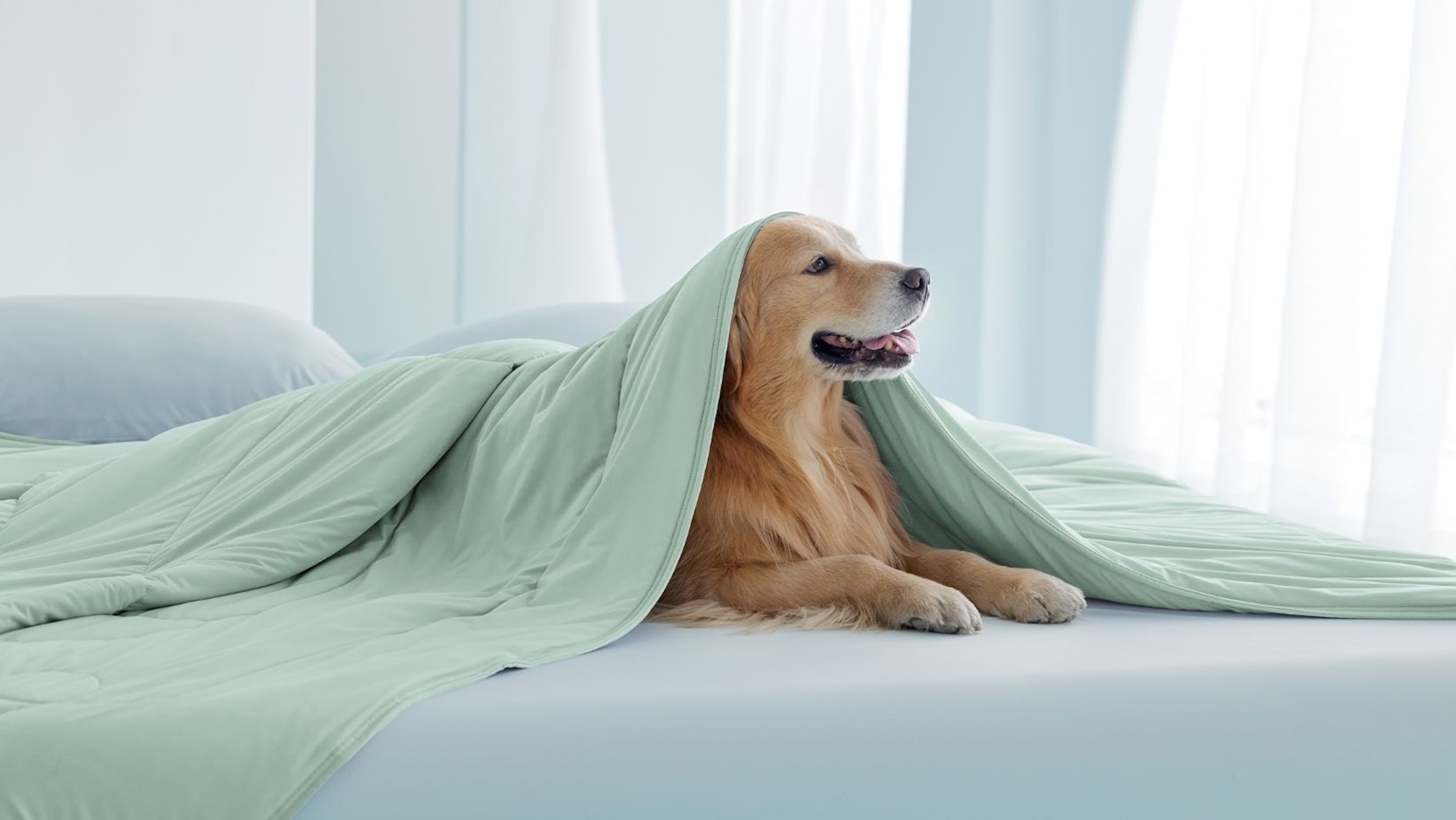 Breescape: Cooling Comforter Blanket