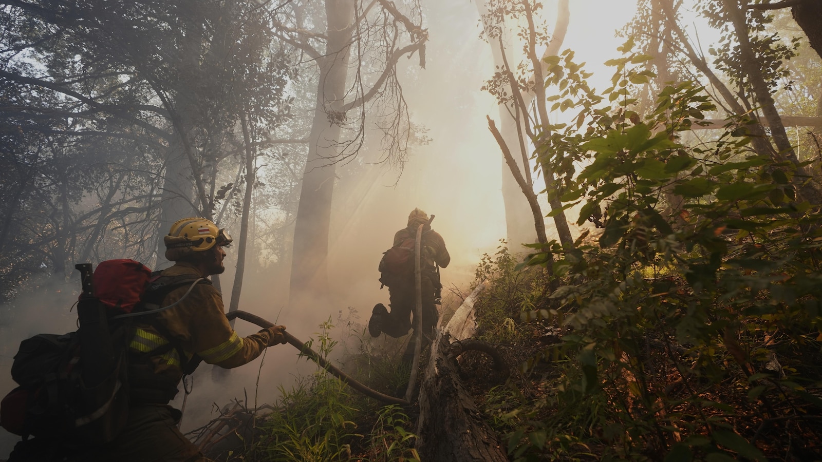 Екип от изследователи казват че причиненото от човека изменение на