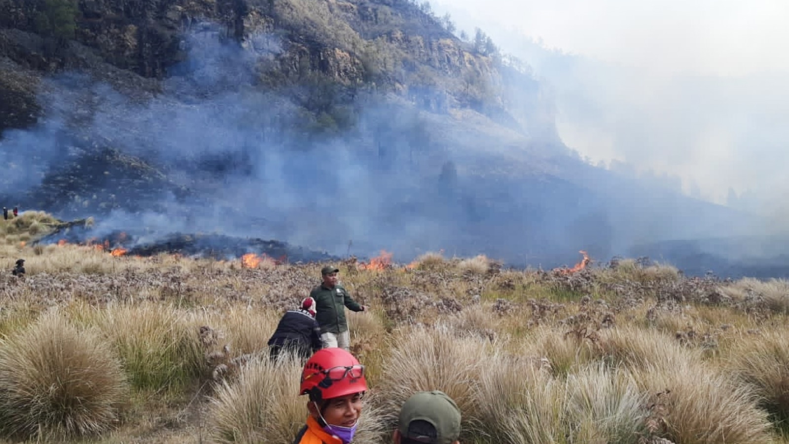 Пожар изгаря 60 хектара в националния парк Mount Bromo в Индонезия