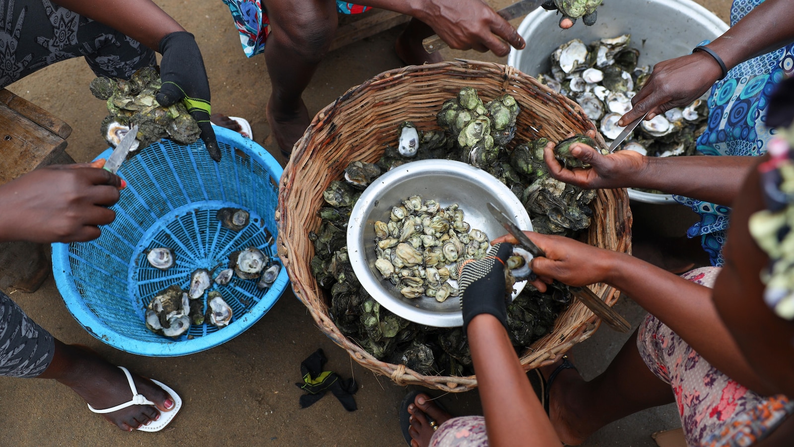 In coastal Ghana, female oyster farmers try to save an old practice threatened by climate change