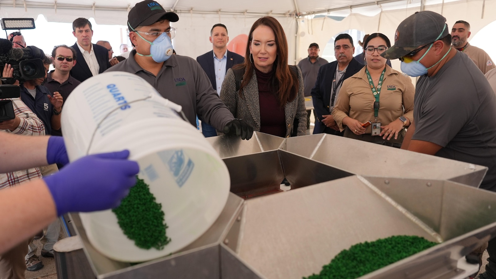 Texas center to disperse sterile screwworm flies to block parasite it spawns
