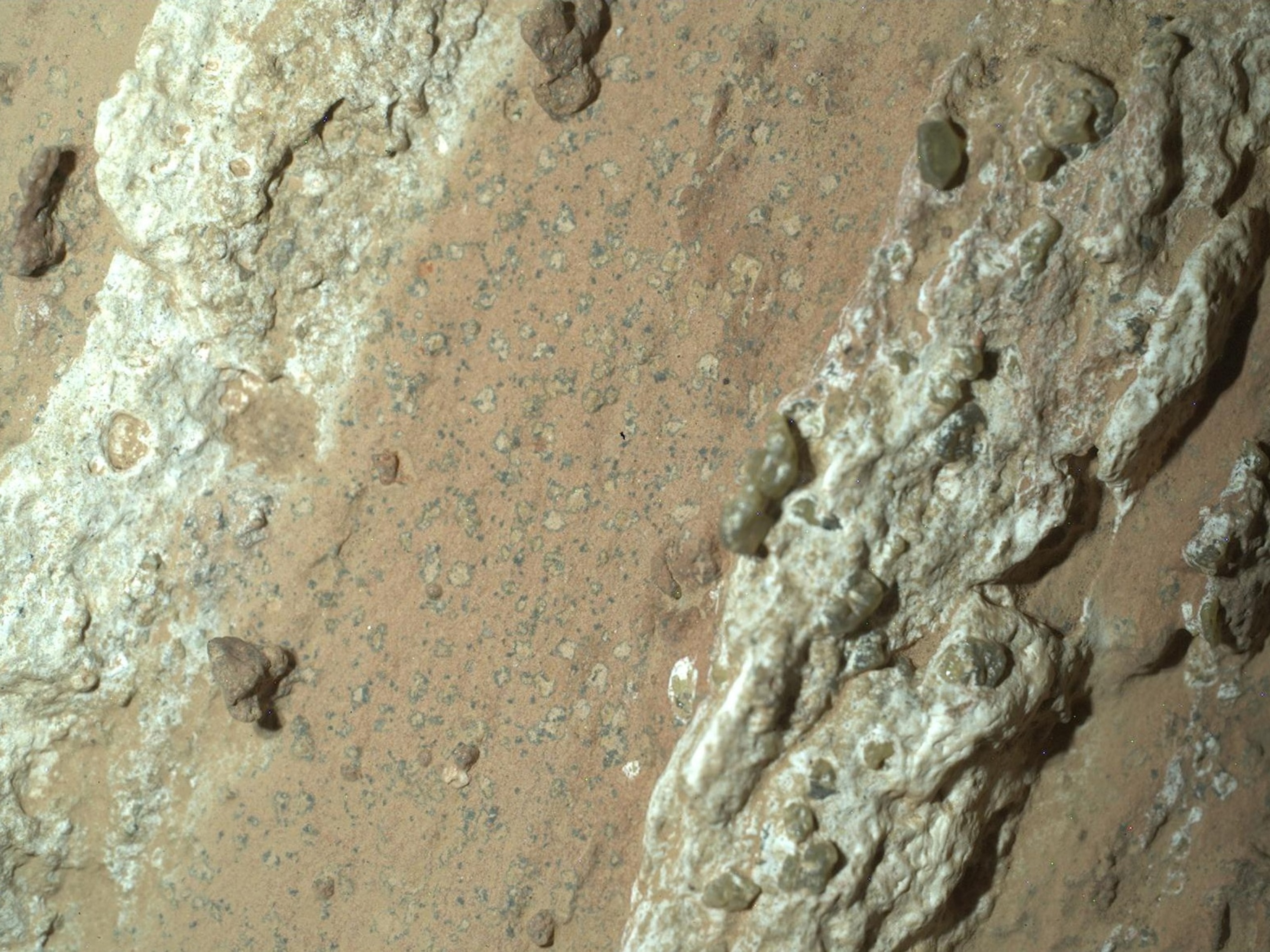 PHOTO: NASA’s Perseverance rover discovered leopard spots on a reddish rock nicknamed “Cheyava Falls” in Mars’ Jezero Crater in July 2024. Scientists think the spots may indicate that this rock could have supported microbial life.