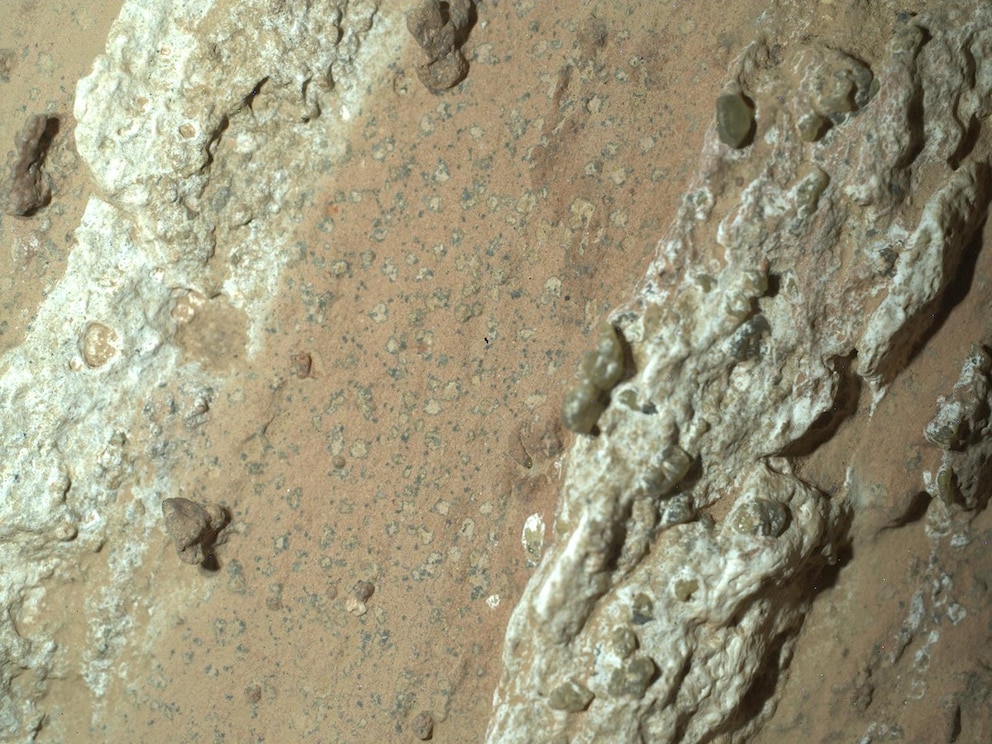 PHOTO: NASA’s Perseverance rover discovered leopard spots on a reddish rock nicknamed “Cheyava Falls” in Mars’ Jezero Crater in July 2024. Scientists think the spots may indicate that this rock could have supported microbial life. 