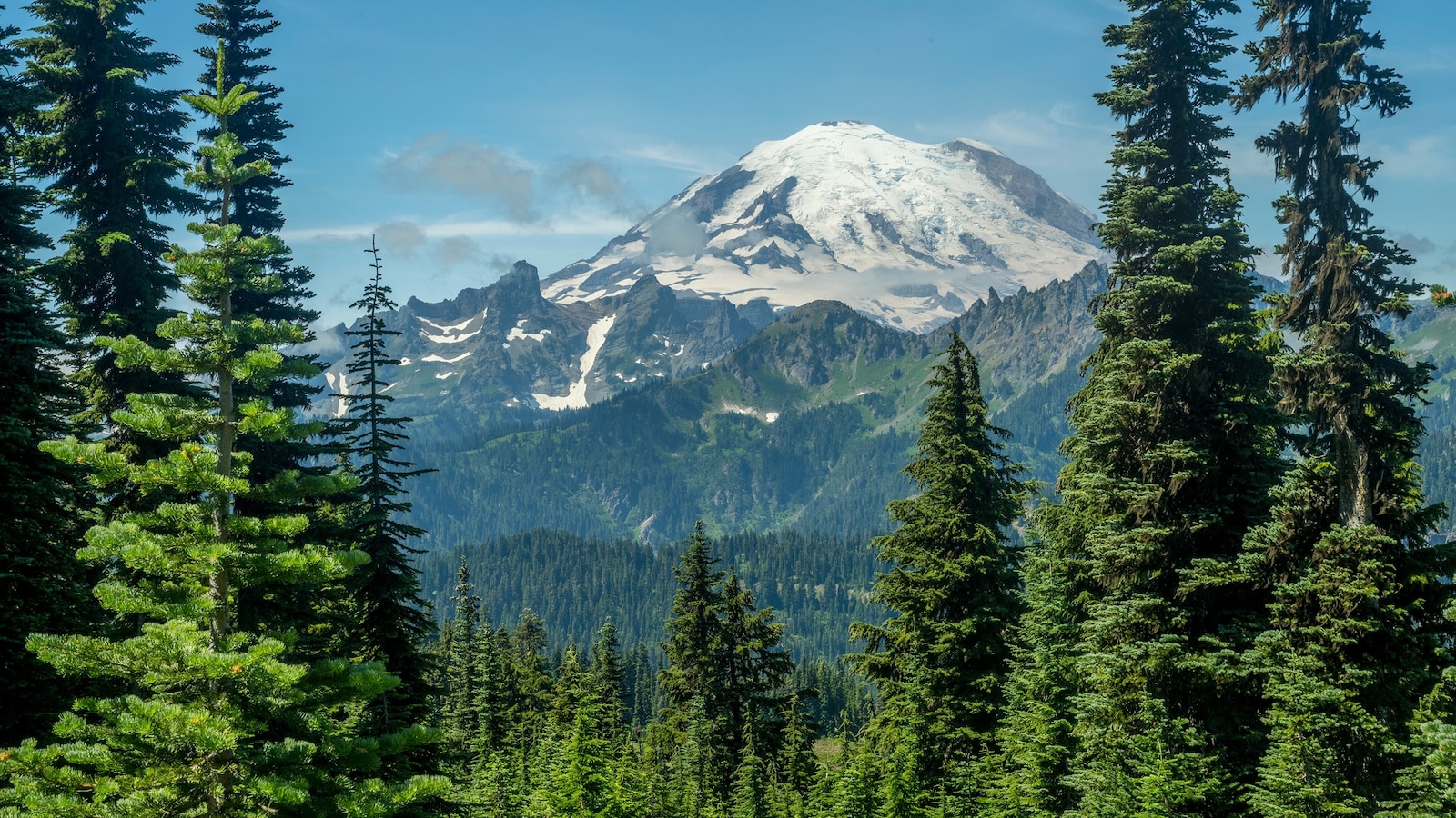 Mount Rainier may be shrinking due to climate change: Study
