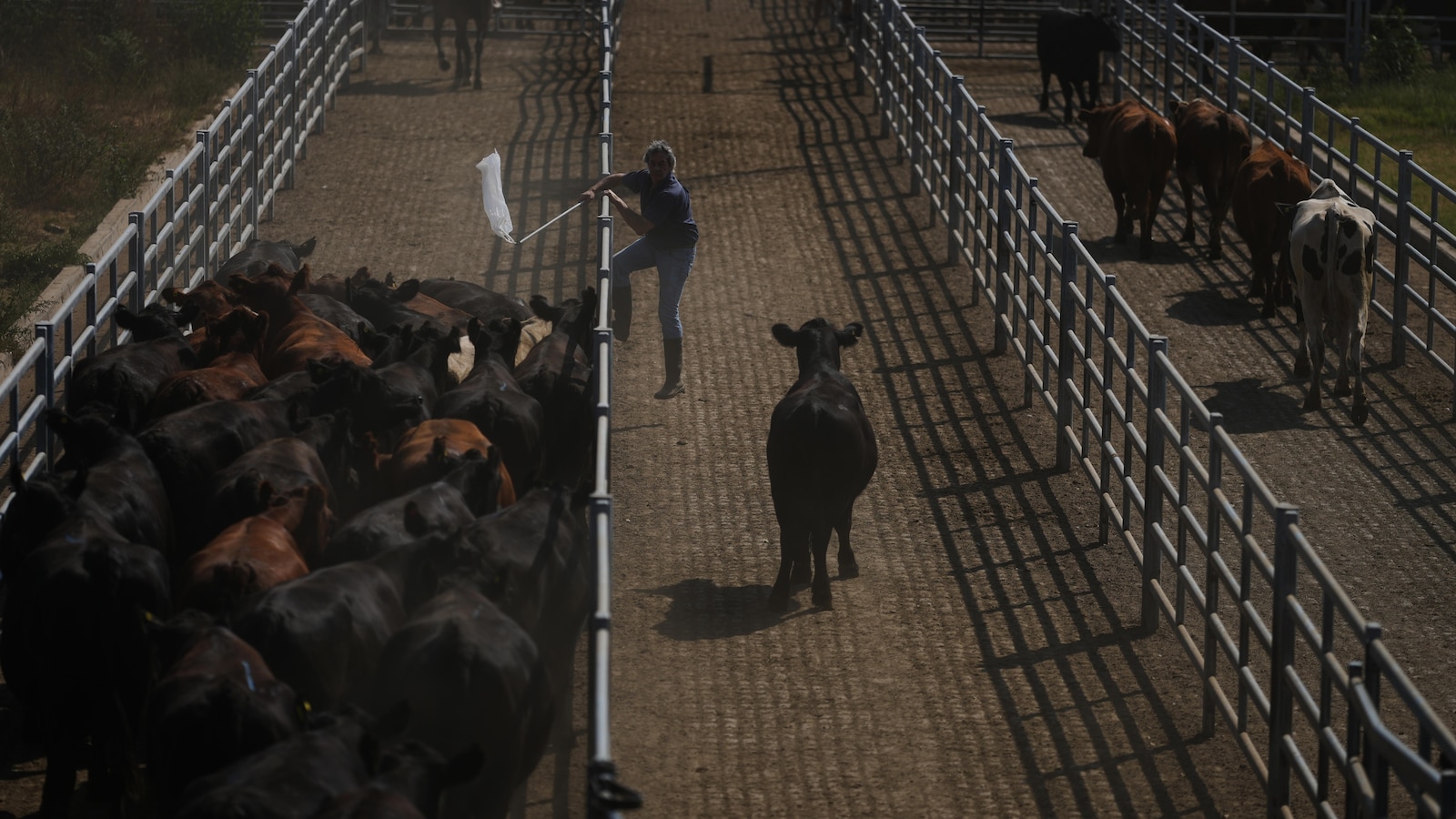 The EU and Mercosur build one of the world's biggest free-trade zones