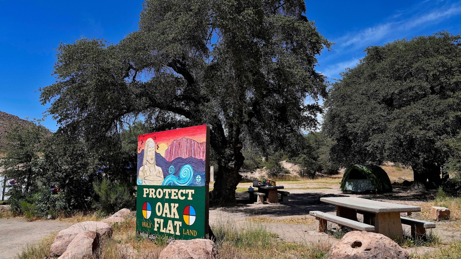 US judge denies request to halt Oak Flat land transfer to copper mining company