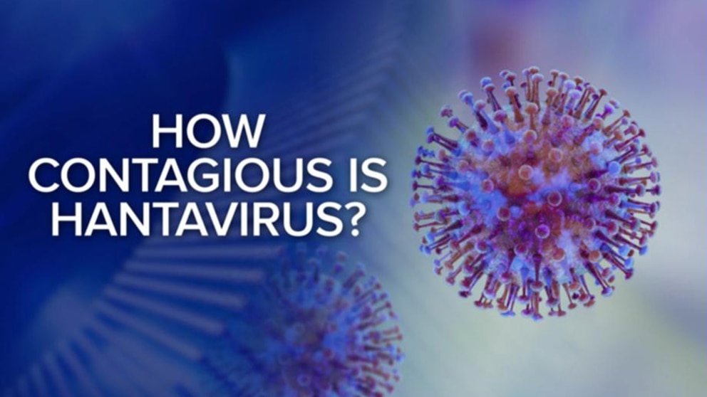 WATCH:  Your hantavirus questions answered