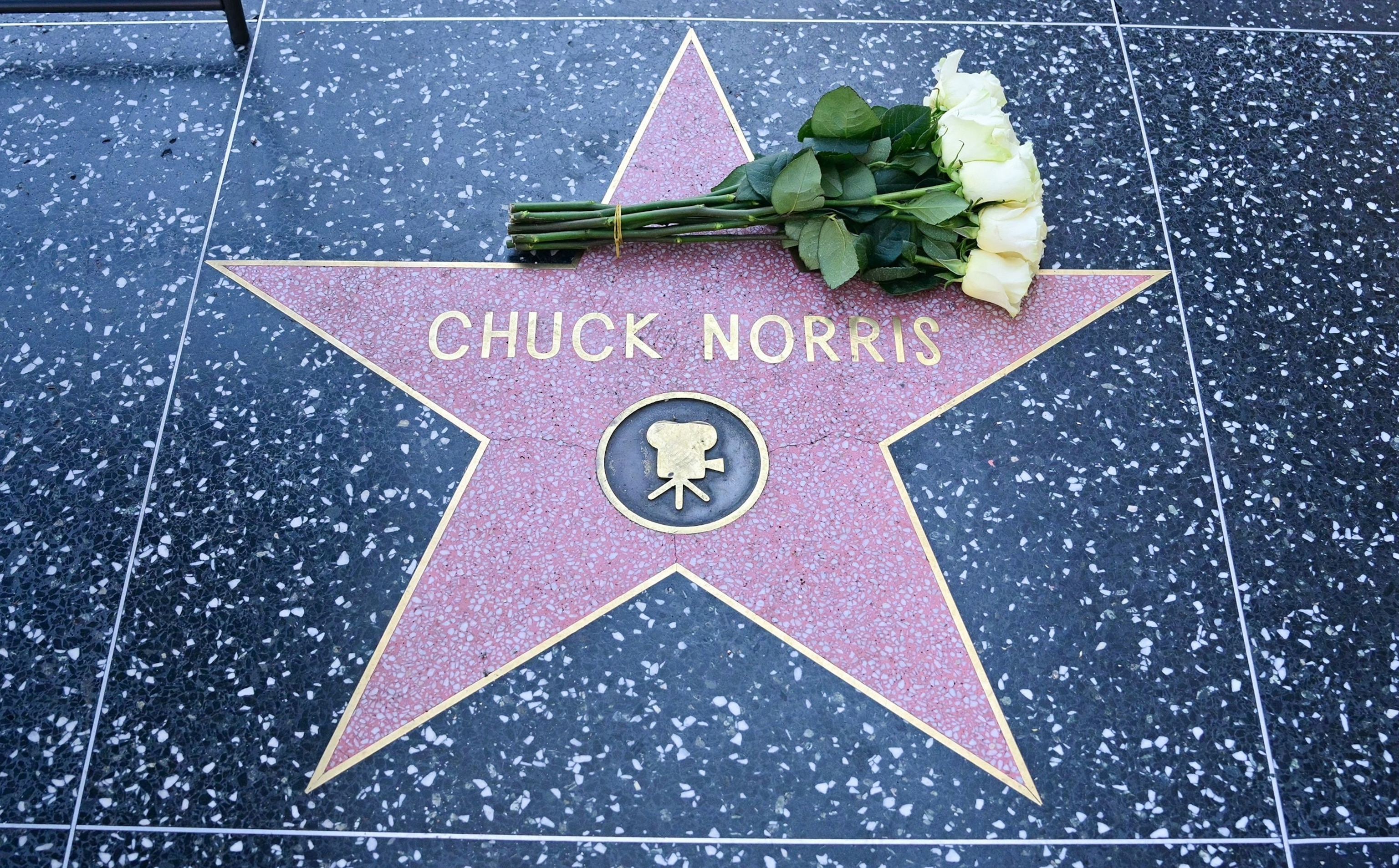 Chuck Norris remembered by his 'Expendables' co-stars and more after his  death at 86 - ABC News