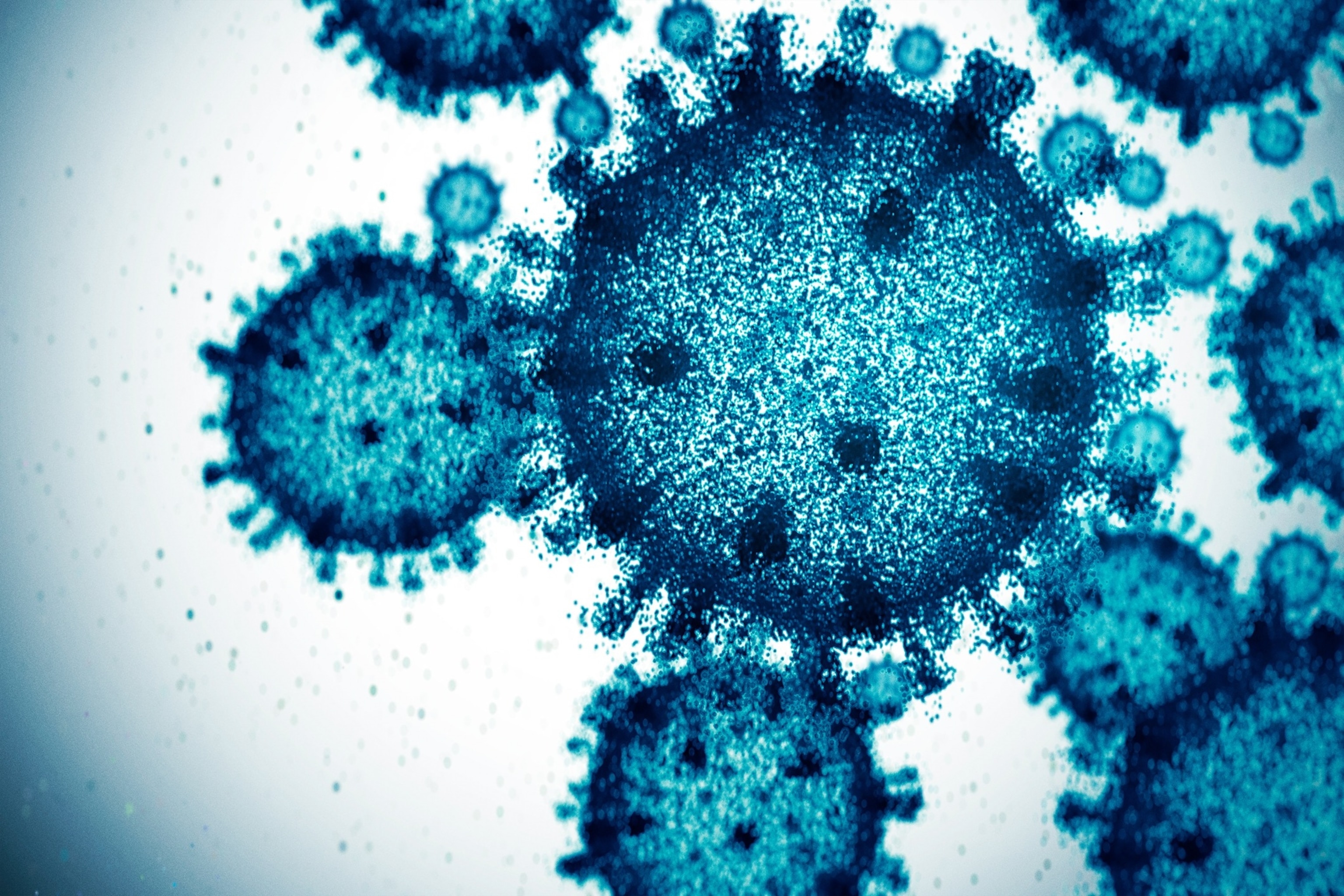 PHOTO: Virus