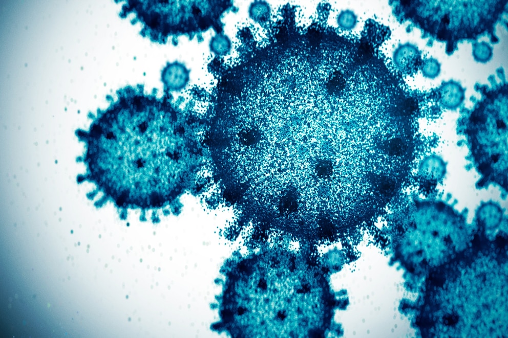 PHOTO: Virus