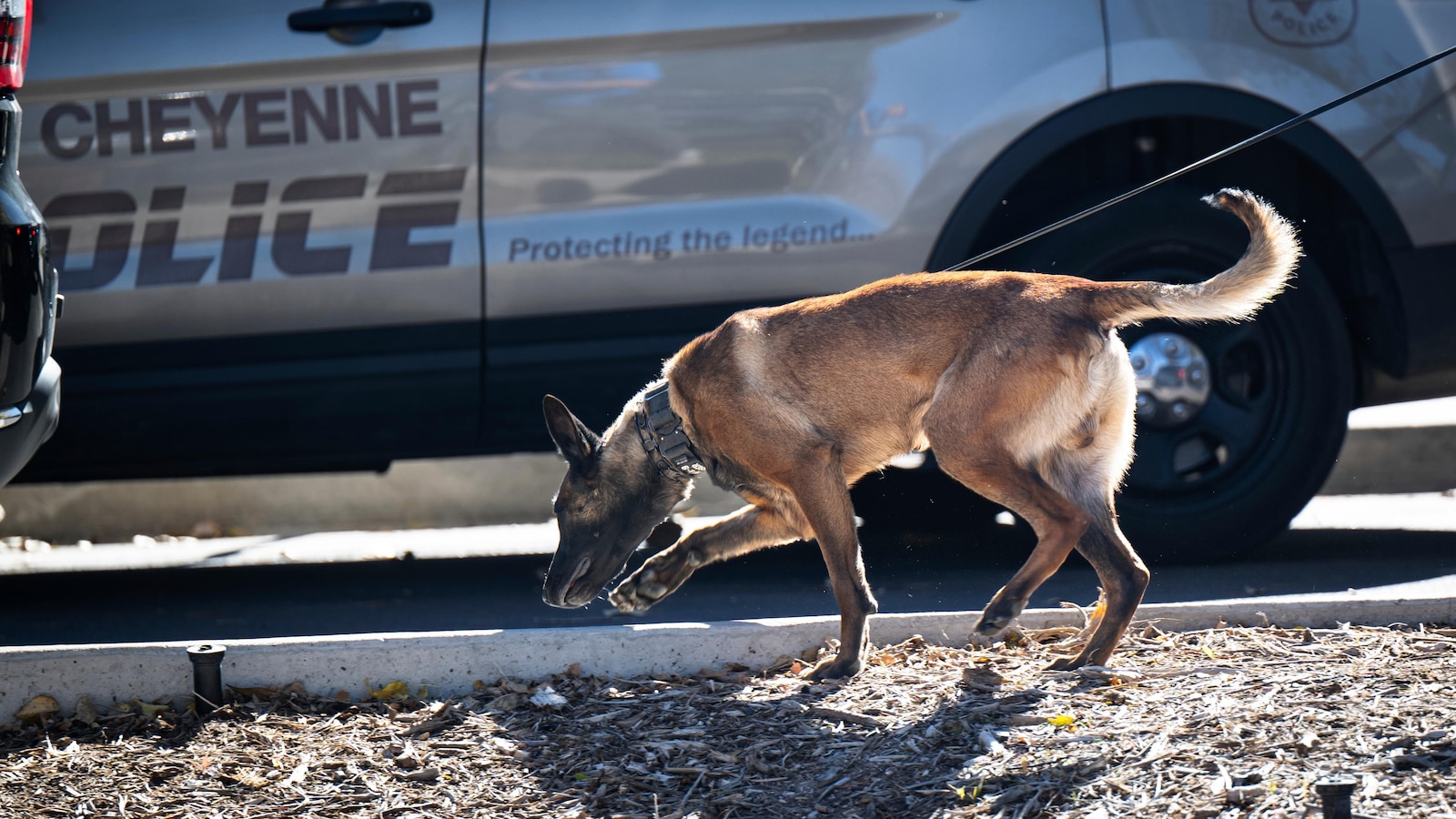 Suspected explosive device found and brought indoors prompts Wyoming Capitol evacuation
