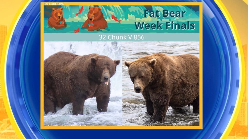 Chunk Wins Fat Bear Week 2025