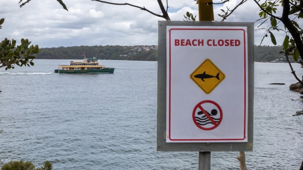 Video 3 shark attacks off Sydney in just over 24 hours leave man, boy in critical condition