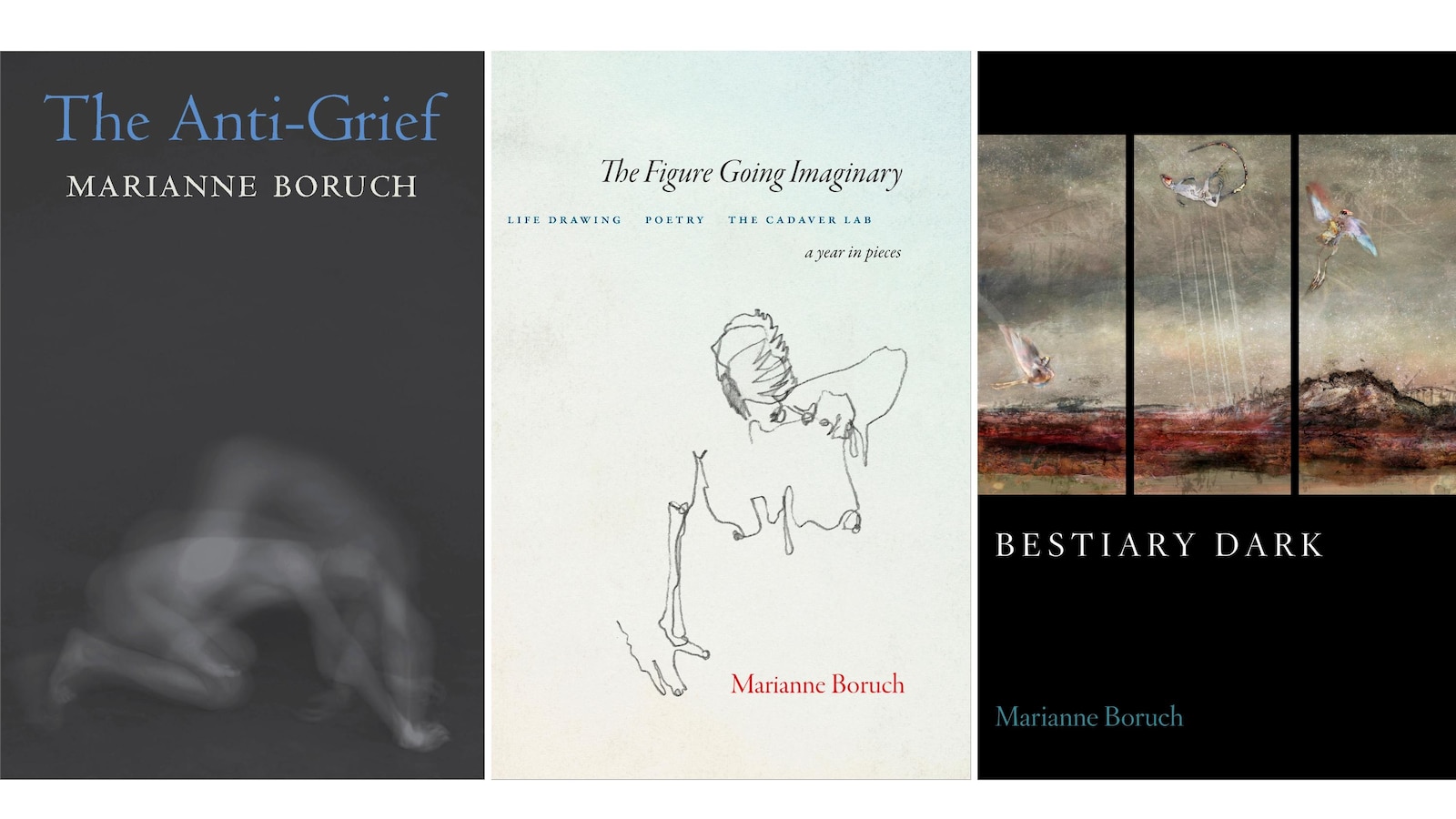 Marianne Boruch wins 0,000 Jackson Poetry Prize as judges hail human genius in AI age  abcnews.com