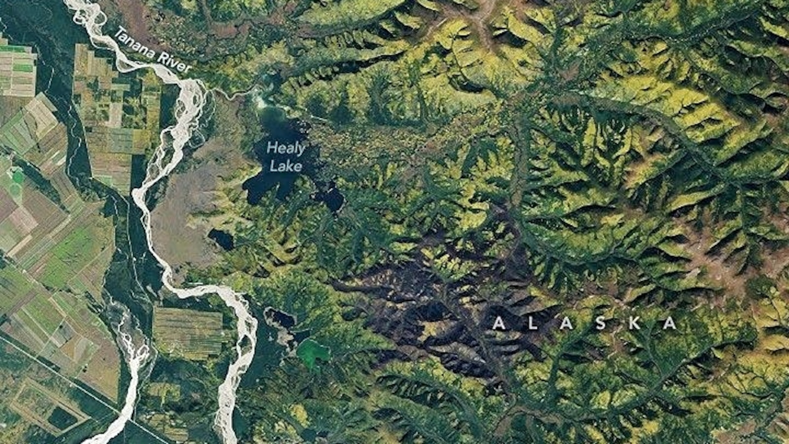 Boreal forests are expanding northward due to climatological warming, satellite images show