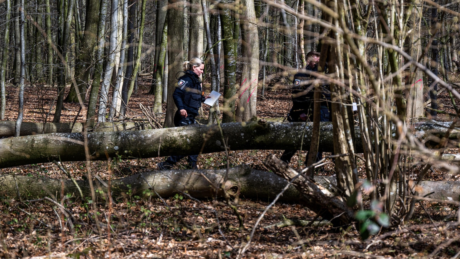3 killed as high winds topple a tree on an Easter egg hunt in Germany ...