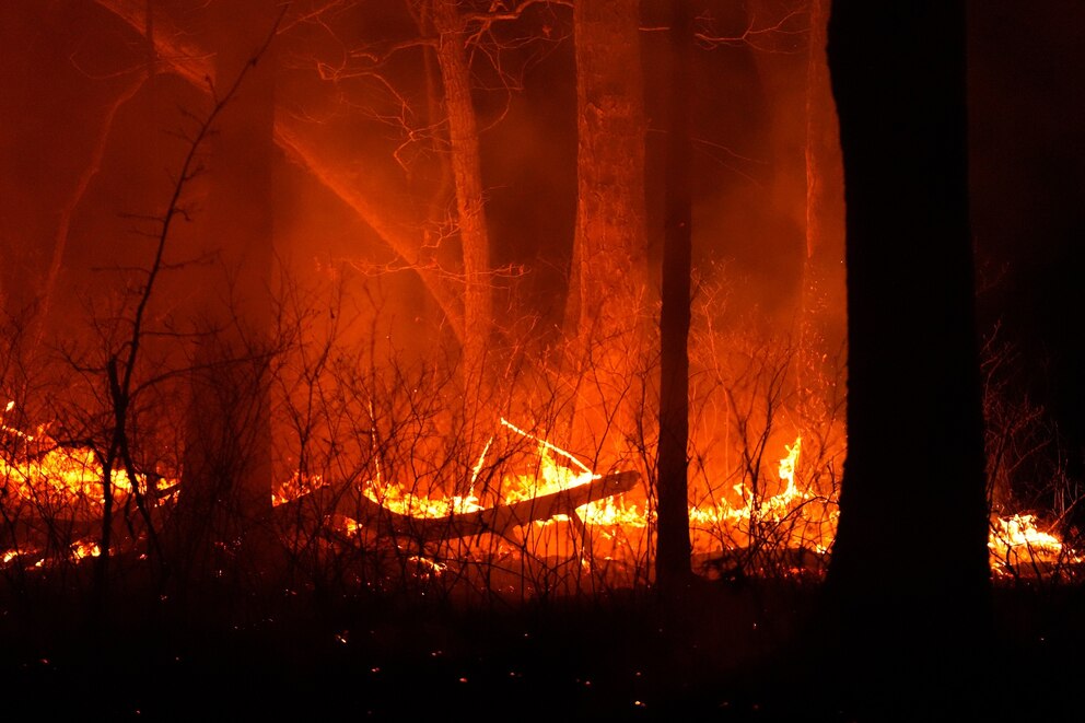 PHOTO: Wildfire New Jersey
